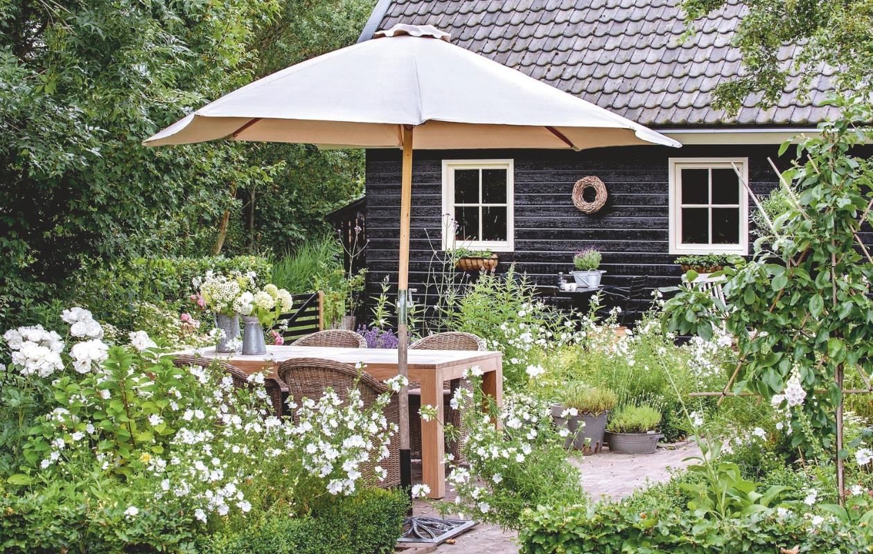 Terras met zicht op de witte border met vlambloem, kaasjeskruid en hortensia ‘Annabelle’. Kattenkruid, echte valeriaan en vlambloem brengen kleur. Rieten stoelen en tafel AVH Outdoor Tuinmeubelen. Parasol kringloop. vtwonen Landelijk 06-2025 | fotografie Ton Bouwer
