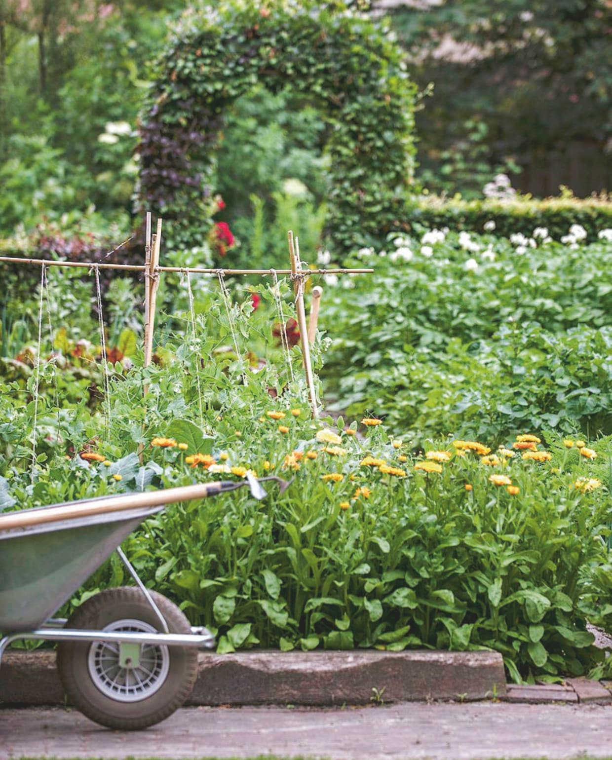 Gele en oranje goudsbloemen, witte bloemen van de aardappelplant. vtwonen Landelijk 06-2025 | Fotografie Ton Bouwer