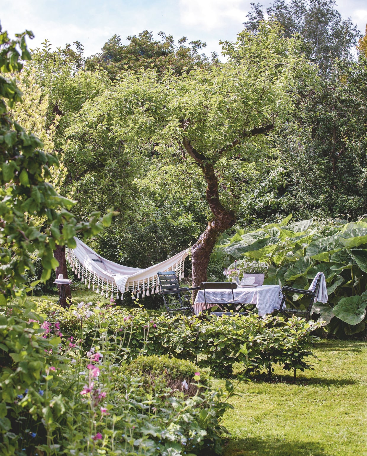 Lunchen onder de oude appelboom. Op de achtergrond hoefblad. De hangmat was een cadeau. Tafel Anton Damen. Stoelen met armleuningen kringloop. vtwonen Landelijk 06-2025 | fotografie Ton Bouwer