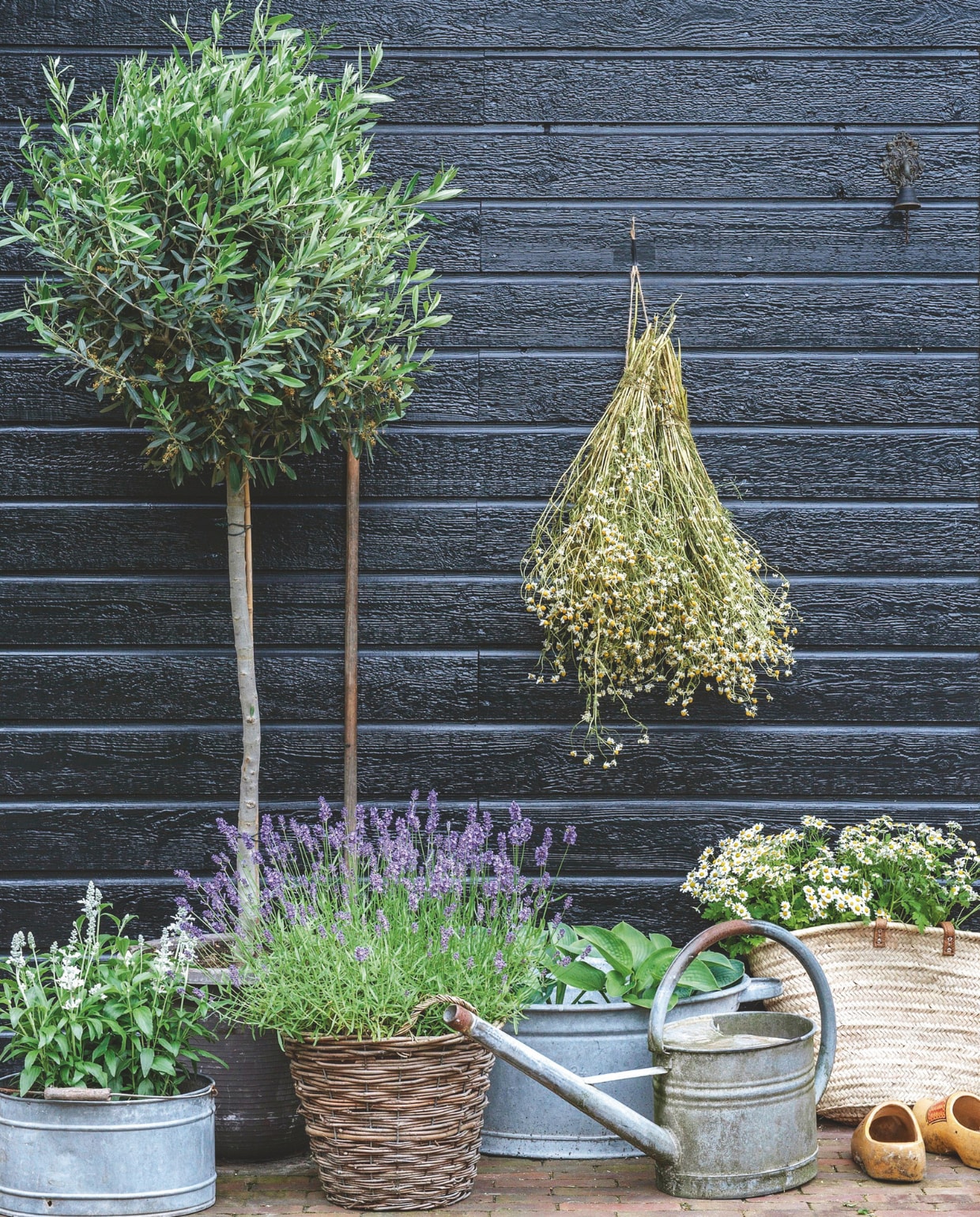 Planten die niet goedgroeien op klei of gevoelig zijn voor slakken staan in oude manden en zinkenemmers en teilen. vtwonen Landelijk 06-2025 | fotografie Ton Bouwer