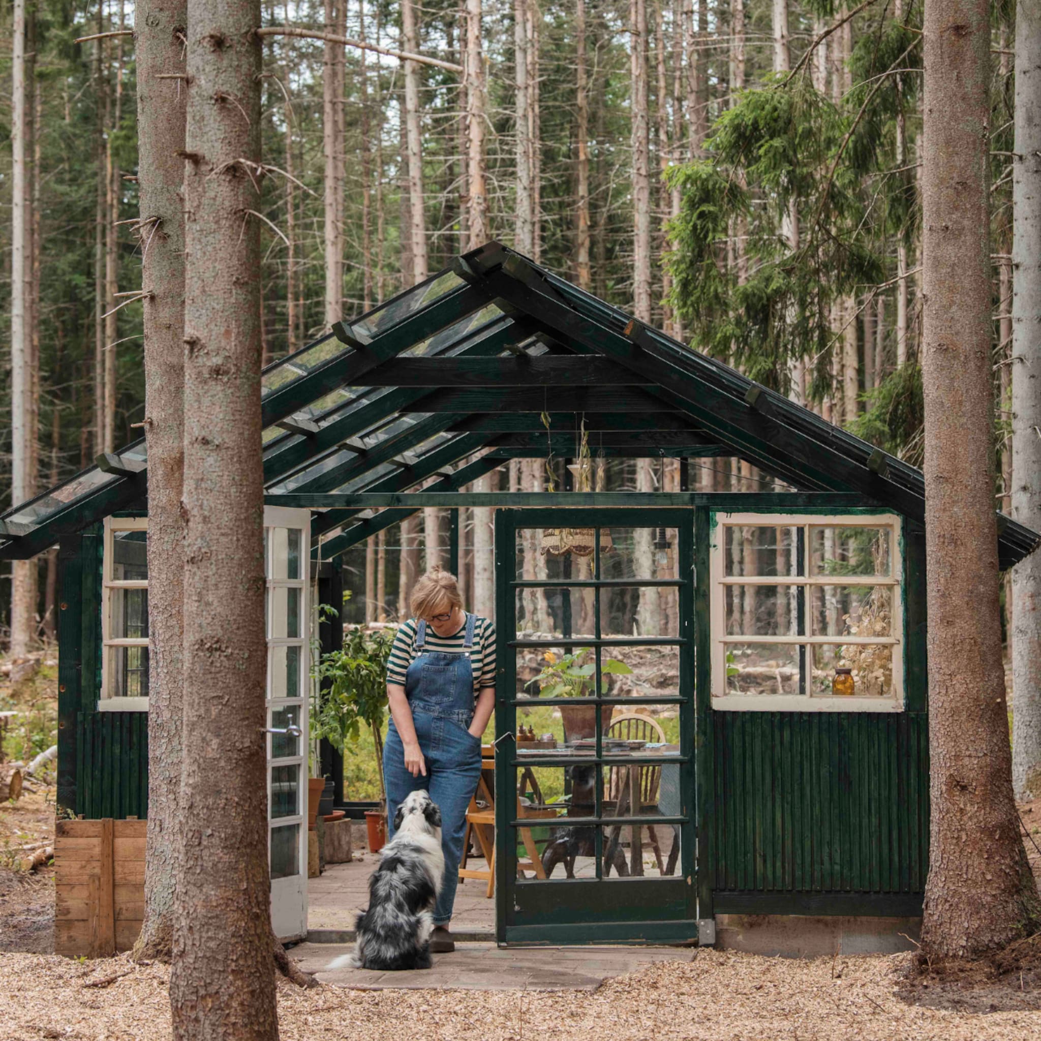 linkinbio-tuin-20250724-buitenkijken-boshuis-epe