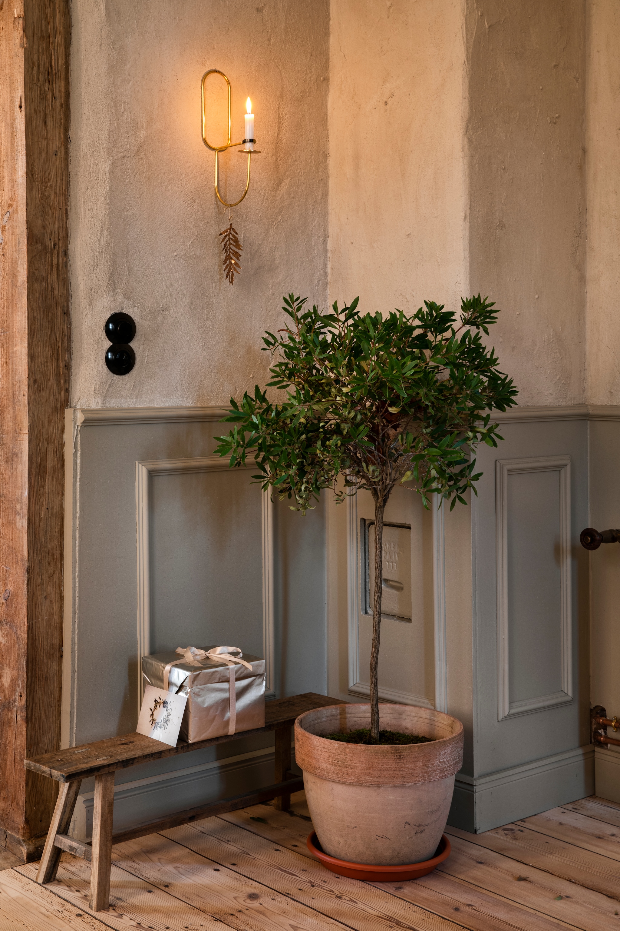 Wandkandelaar Lup van Hay aangekleed voor kerst met een eenvoudige hanger in bladvorm. Soortgelijke bakelieten schakelaars De Oude Schakelaar en New Bakelite. Bankje van brocantemarkt.  vtwonen Landelijk 11-2025 | styling Miriam Hannemann | fotografie André Reuter