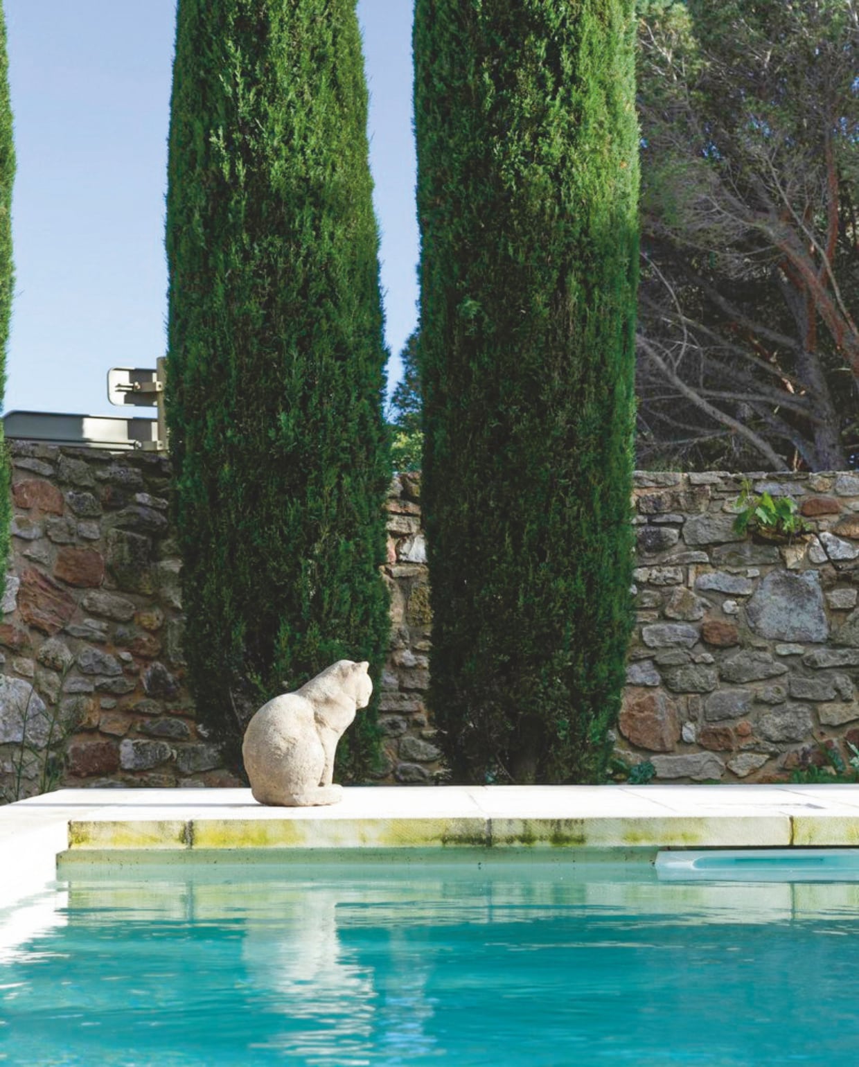 De huiskat bij zijn favoriete plek: het zwembad. vtwonen Landelijk 8-2025 | styling Laura Taccari | fotografie Monica Spezia | tekstbewerking Roel Janssen