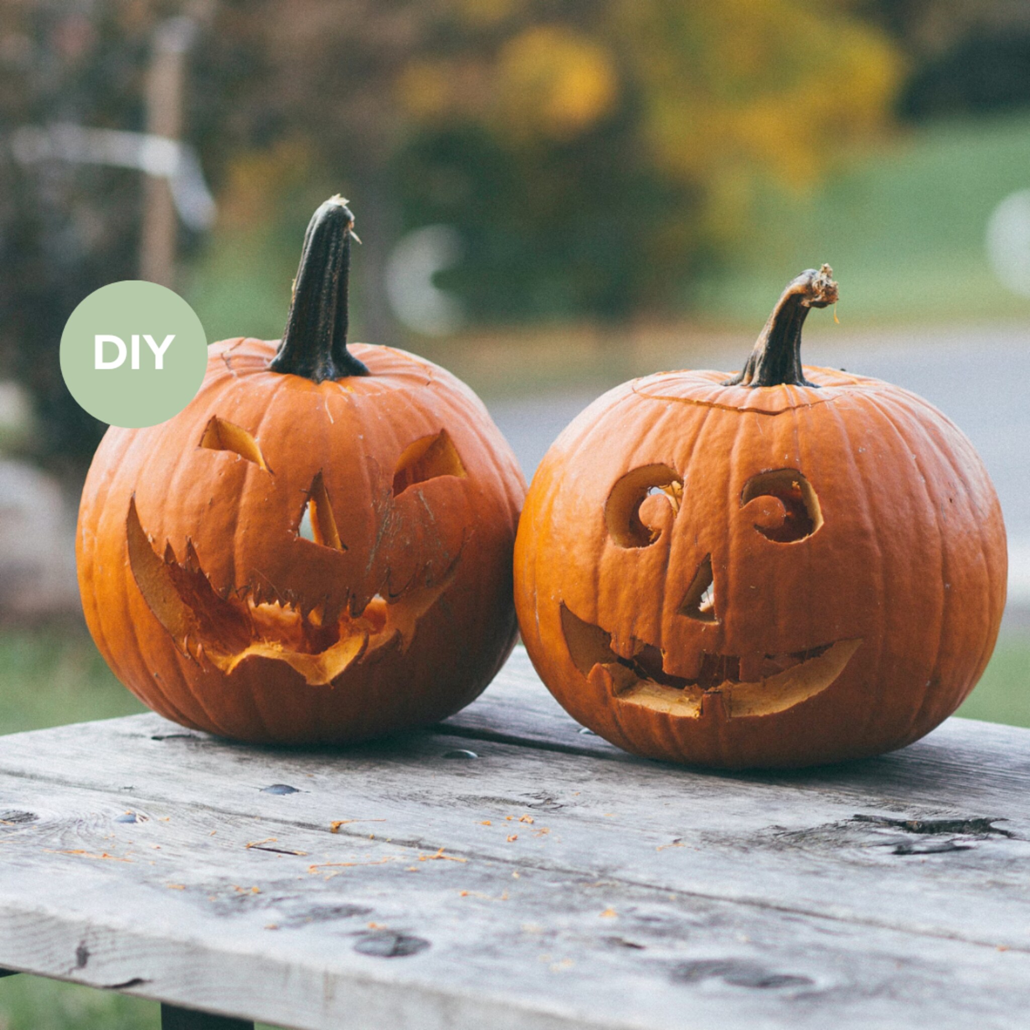 linkinbio-tuin-20251025-pompoen-halloween