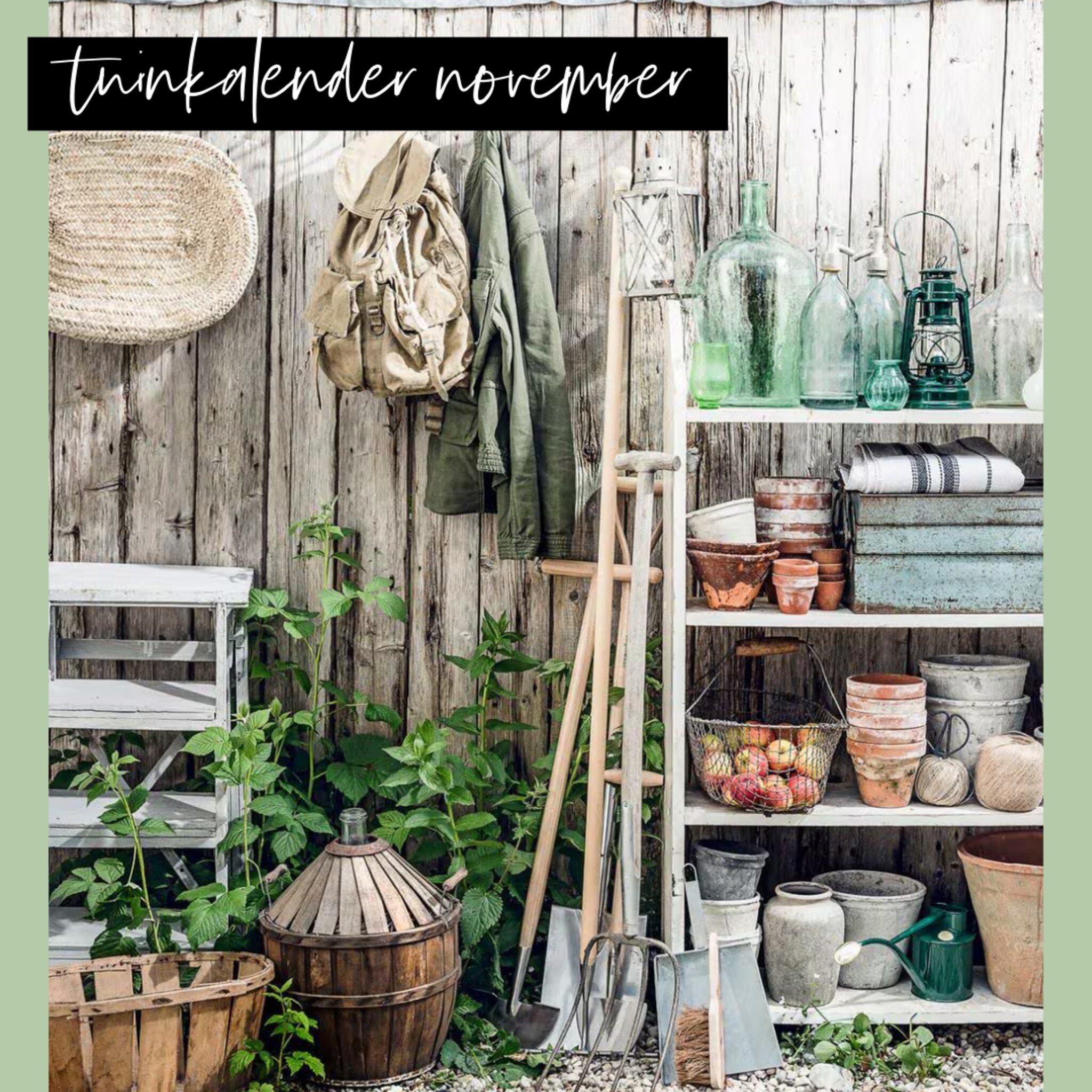 linkinbio-tuin-20251101-tuinkalender-november