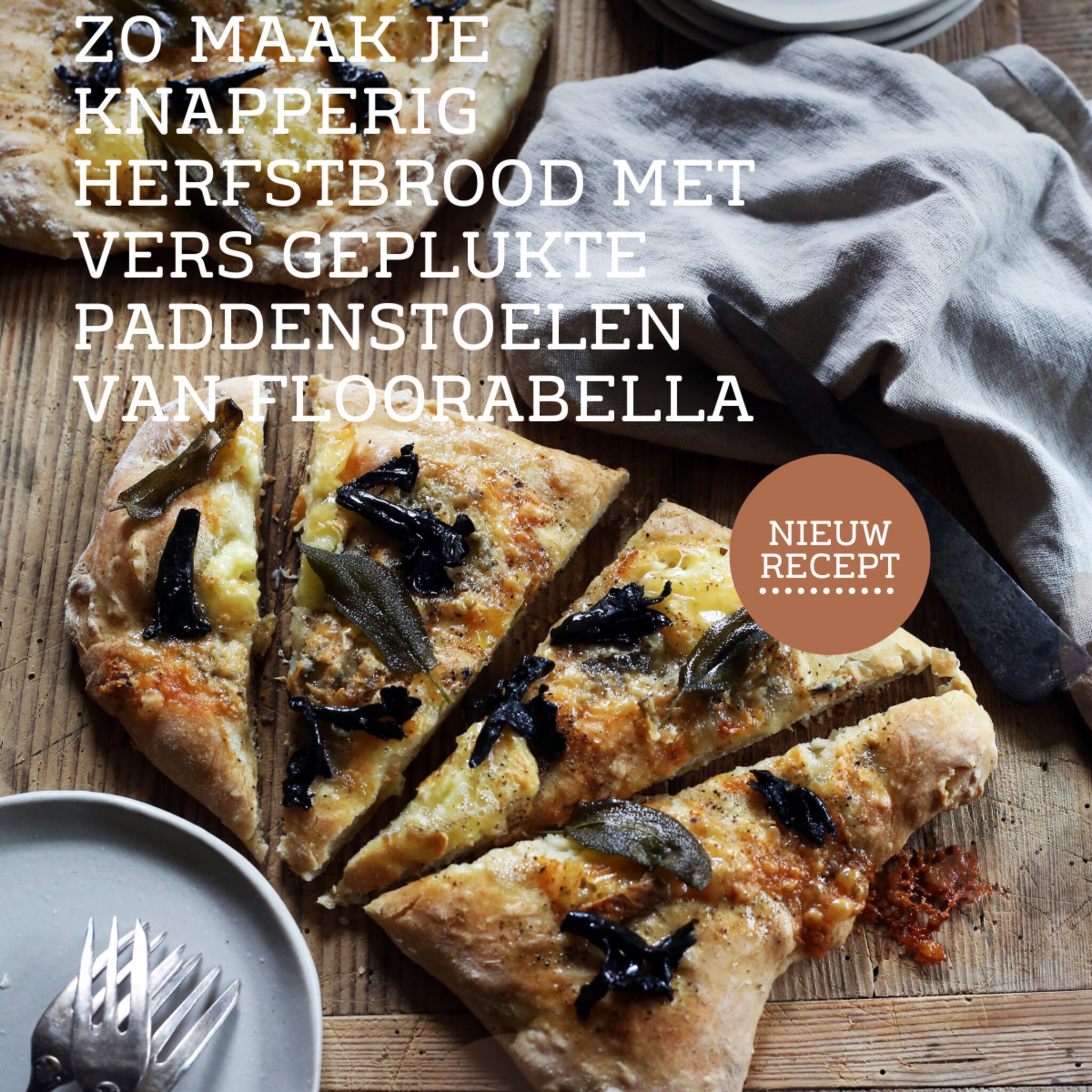 linkinbio-landelijk-20251004-recept-floorabella
