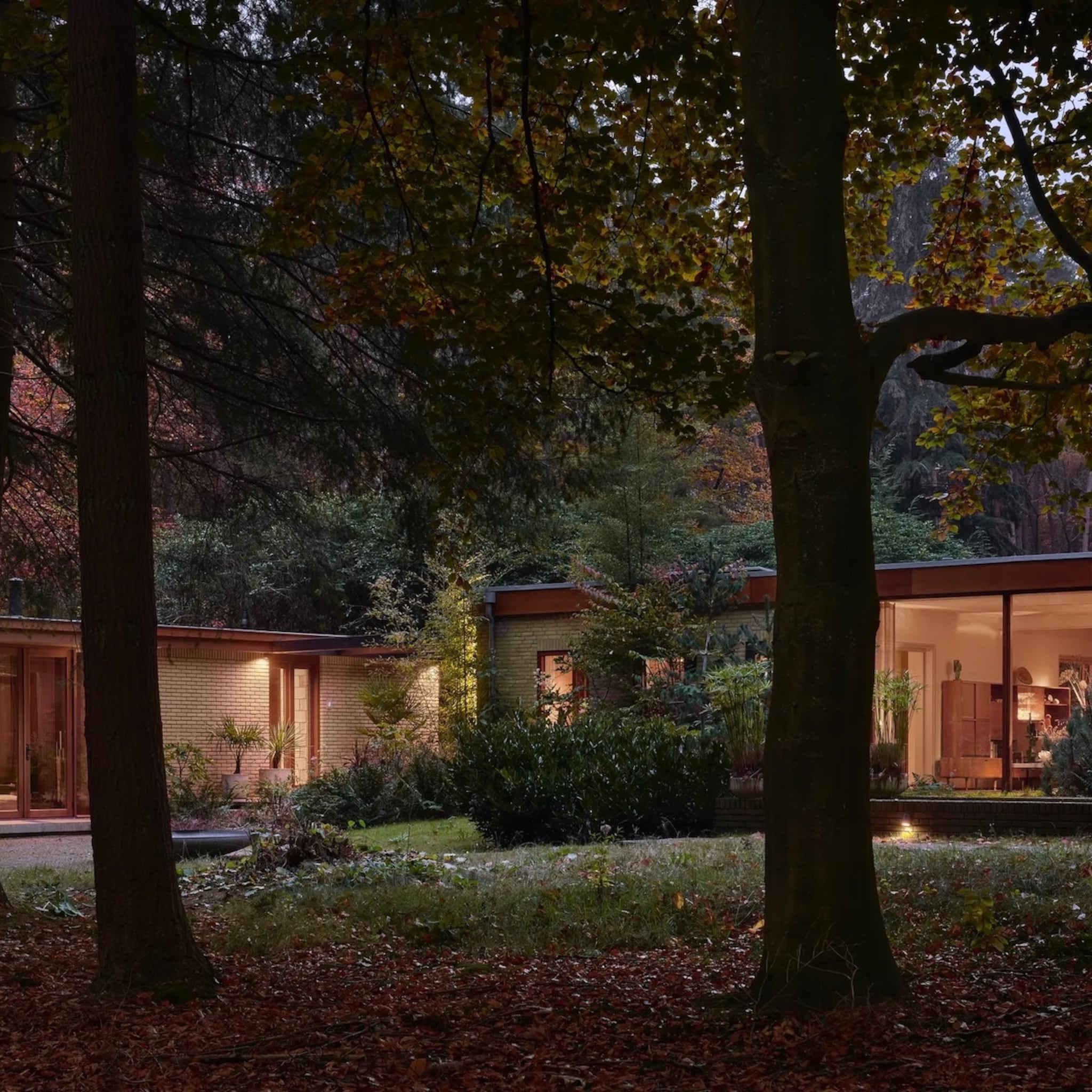 bosbungalow de veluwe mooiste woning nederland