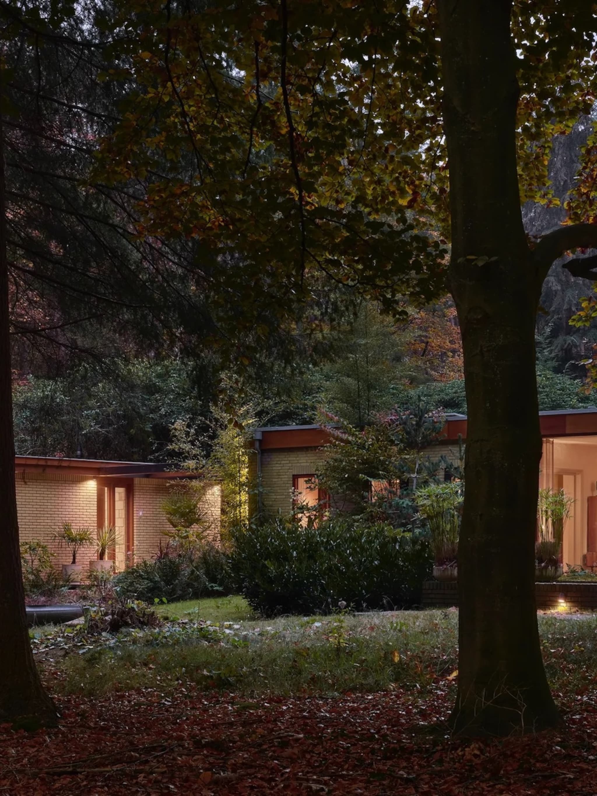 bosbungalow de veluwe mooiste woning nederland
