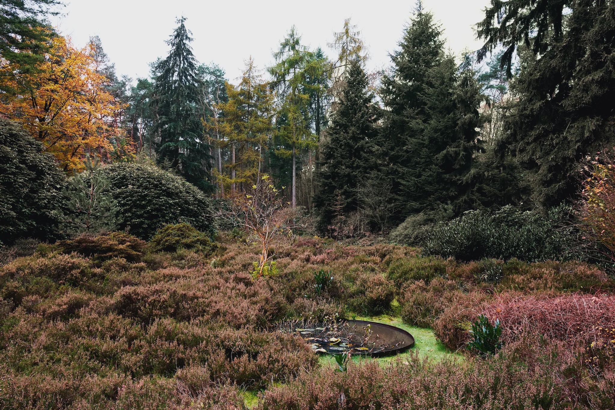 Funda - Von Poll Real Estate & Drieklomp Makelaars en Rentmeesters Nunspeet