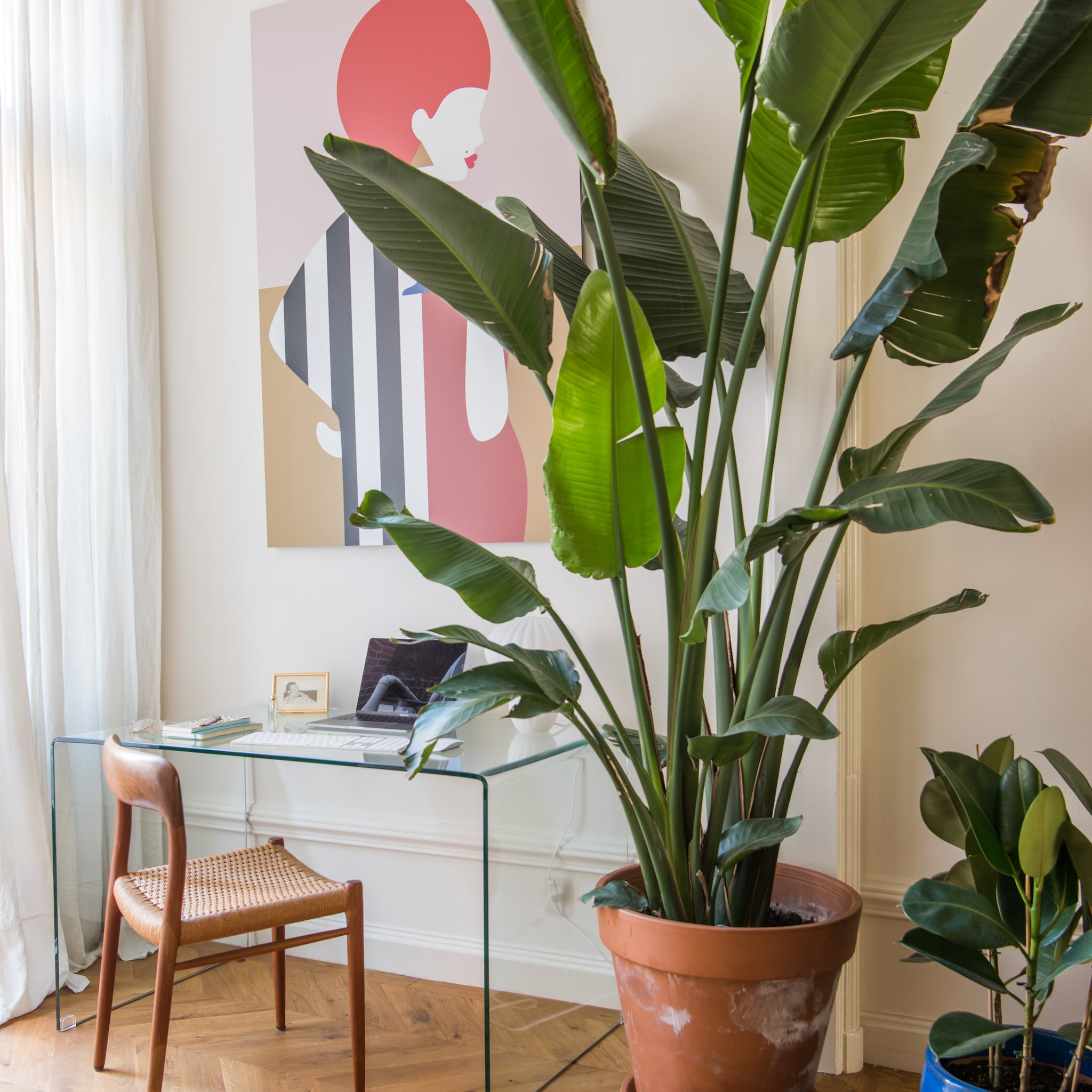 pops of color door kleurrijke kunst