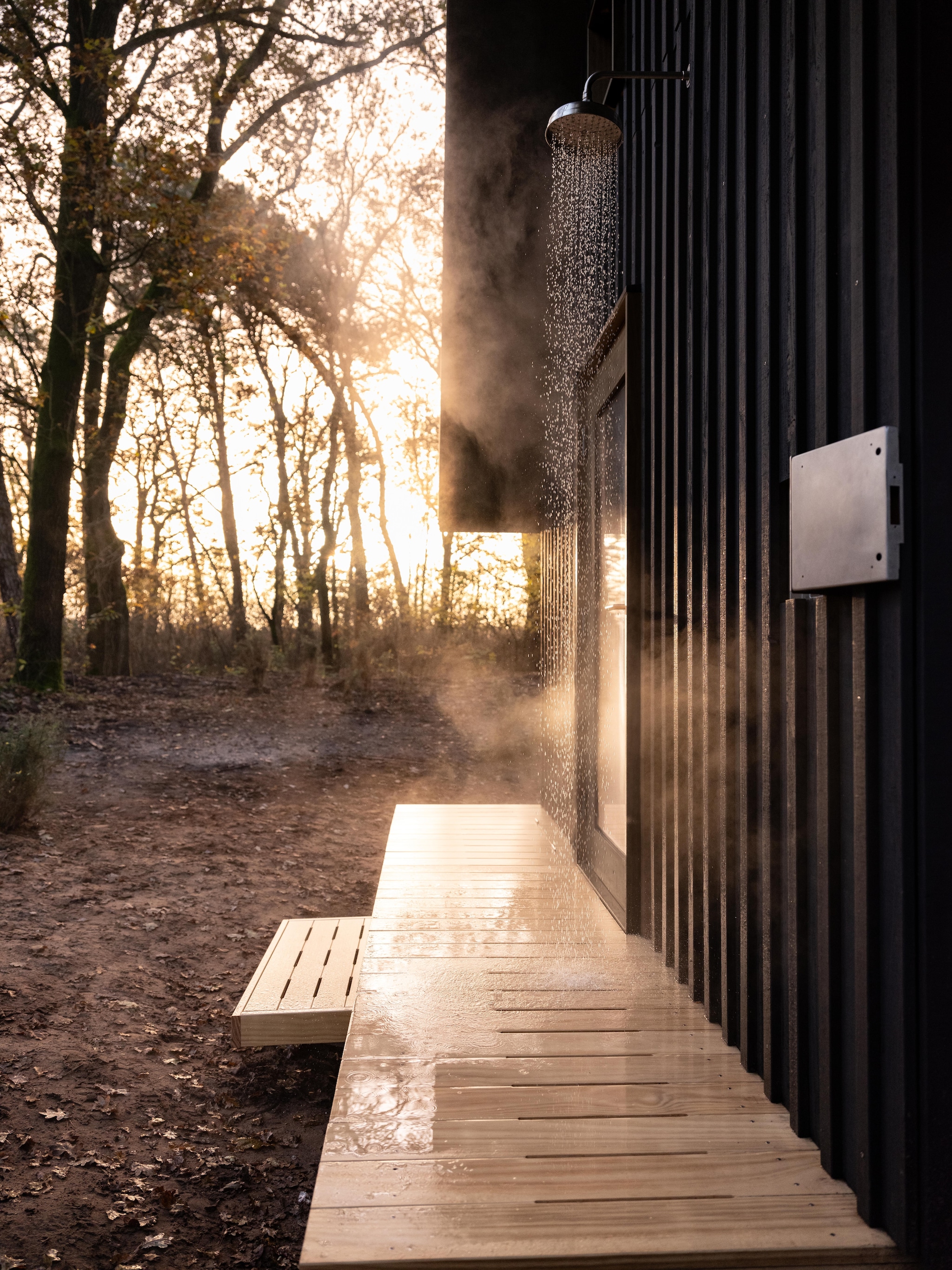 Wooninspiratie met een wowfactor in vtwonen 12-2025 vtwonen 12-2025 | Anna cabin