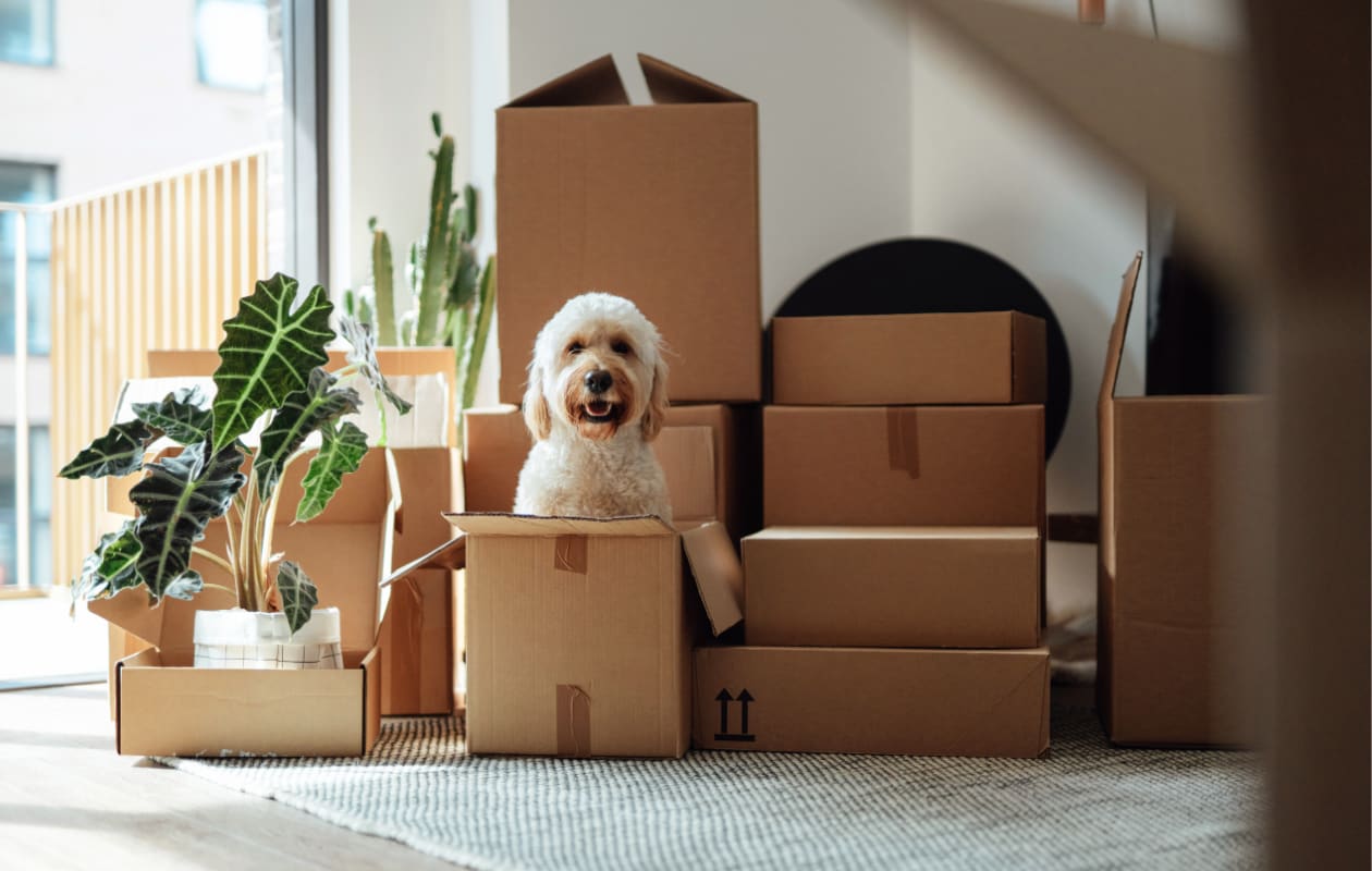 nieuwe woning 5 praktische zaken die je niet wilt vergeten