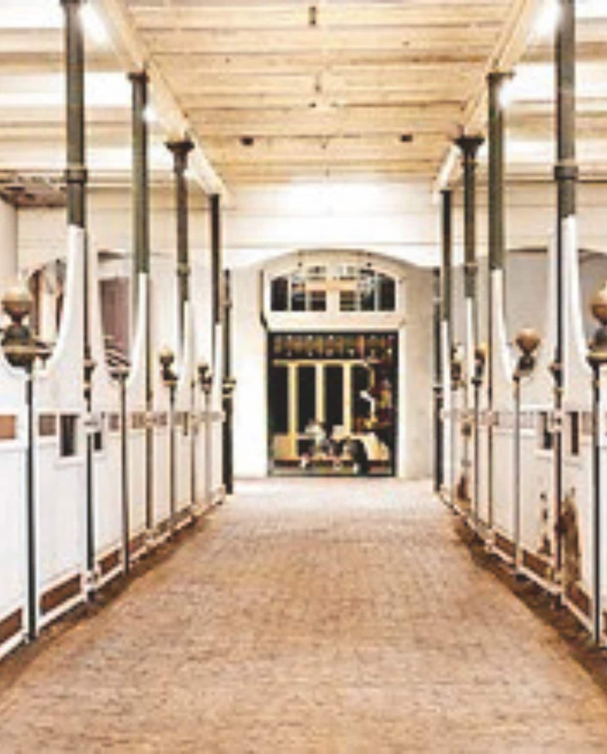 • demaaltuin.nl vtwonen kerst NOW 10-2025 | productie en tekst Roos Stalpers & Fee van ‘t Veen