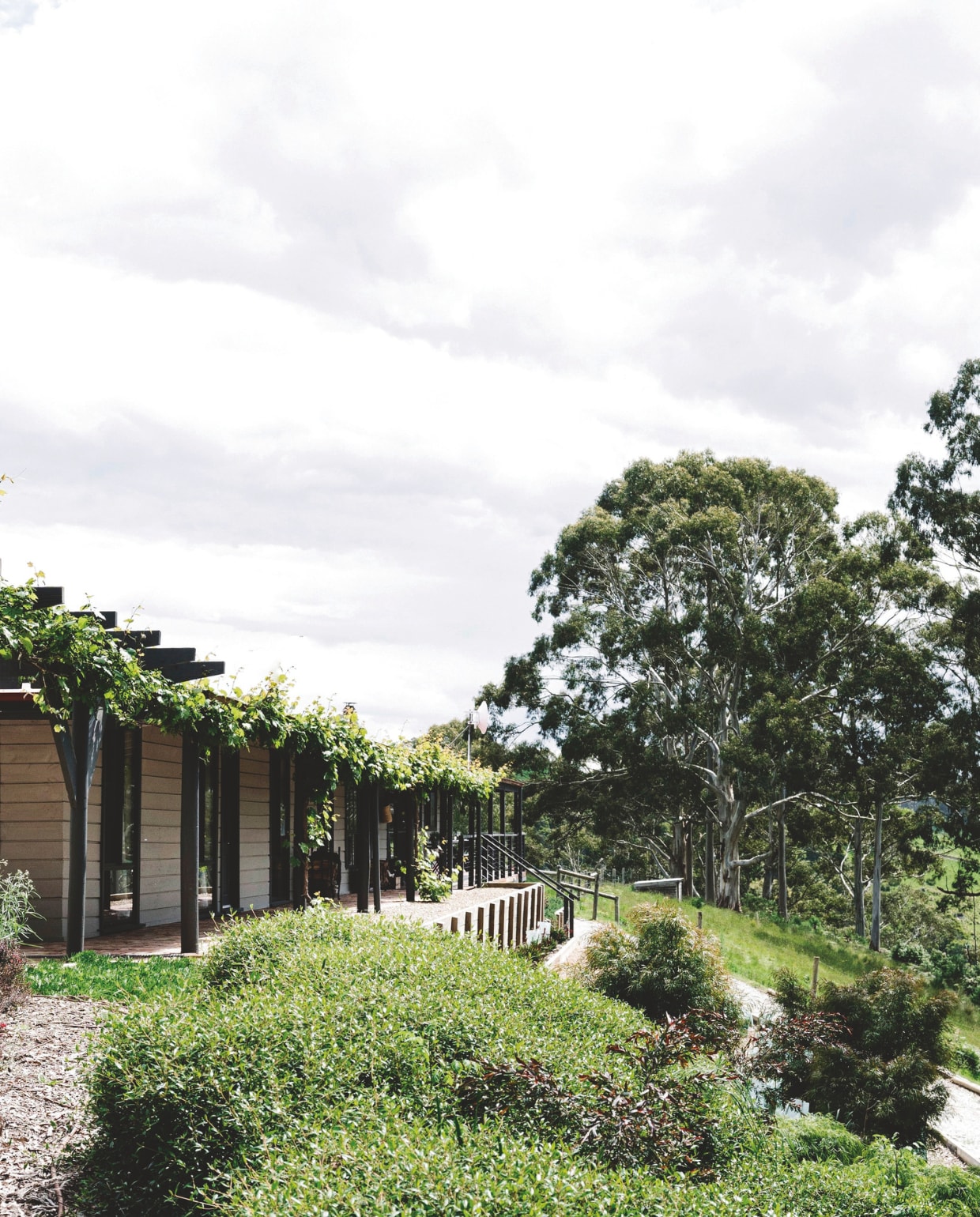 Alle gastenkamers komen uit op een veranda met zicht op de uitbundige natuur. vtwonen landelijk 10-2025 | productie Living Inside | styling Belle Hemming | fotografie Marnie Hawson