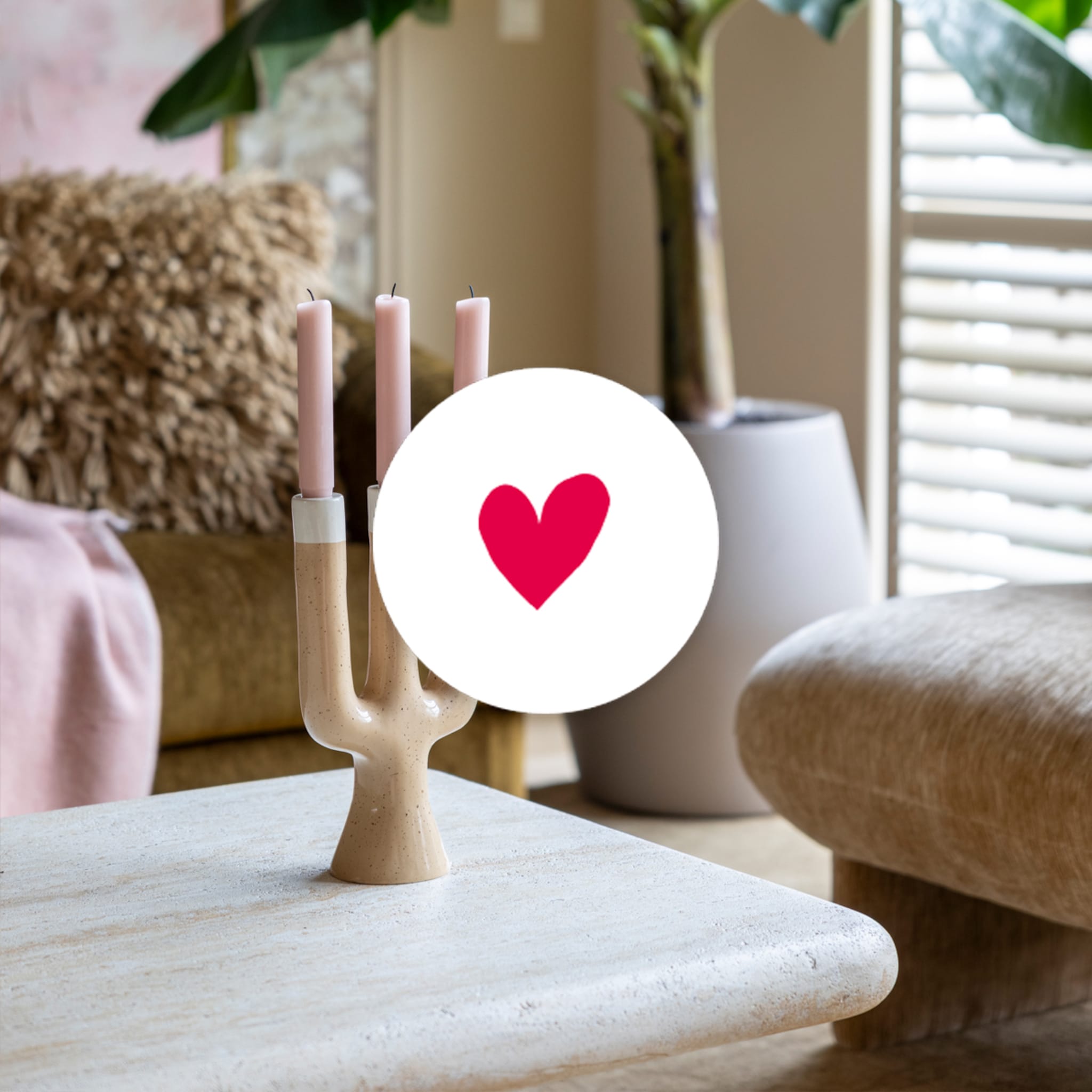 wvojh lander - alles over de make-over