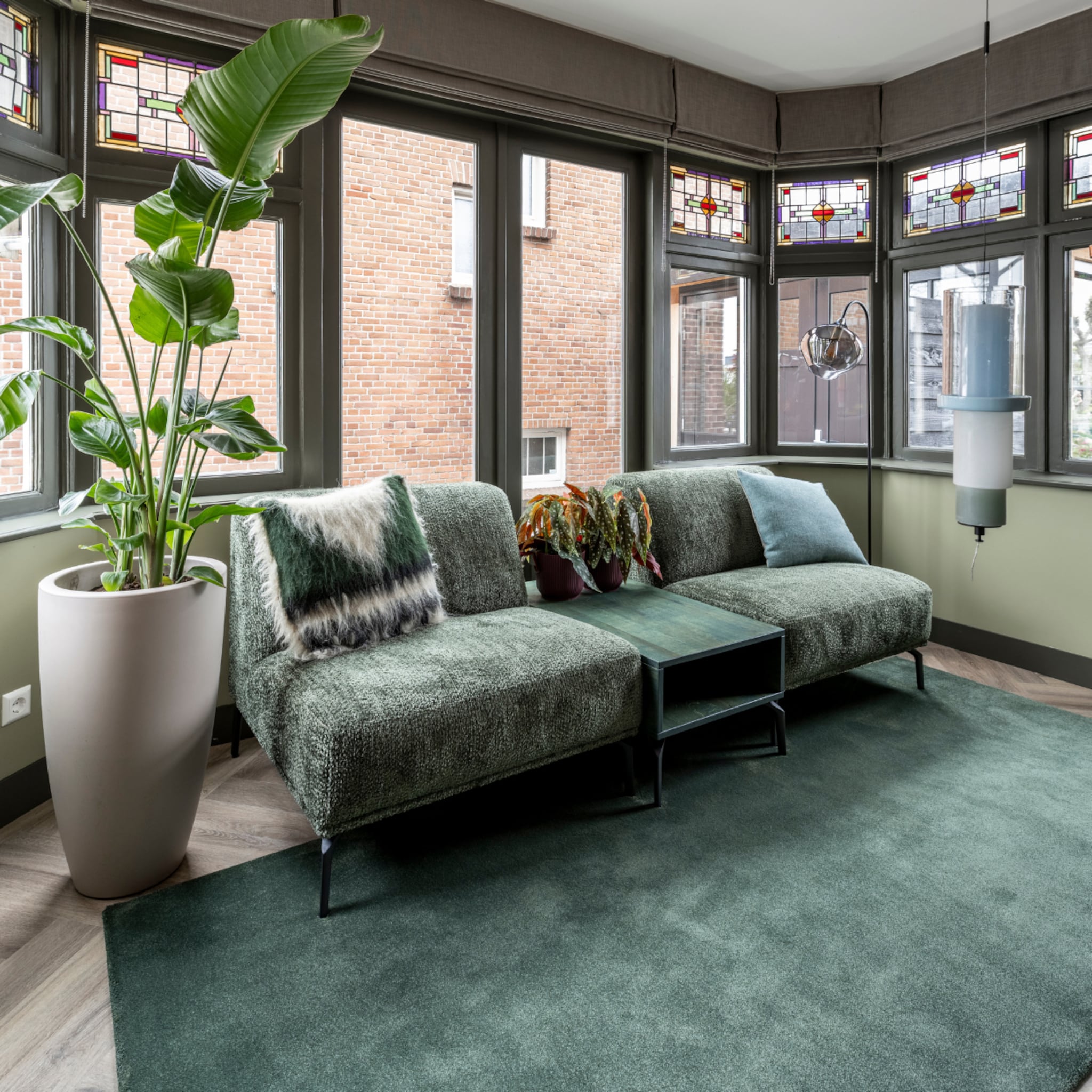 aflevering 8 frans naaldwijk terugblik