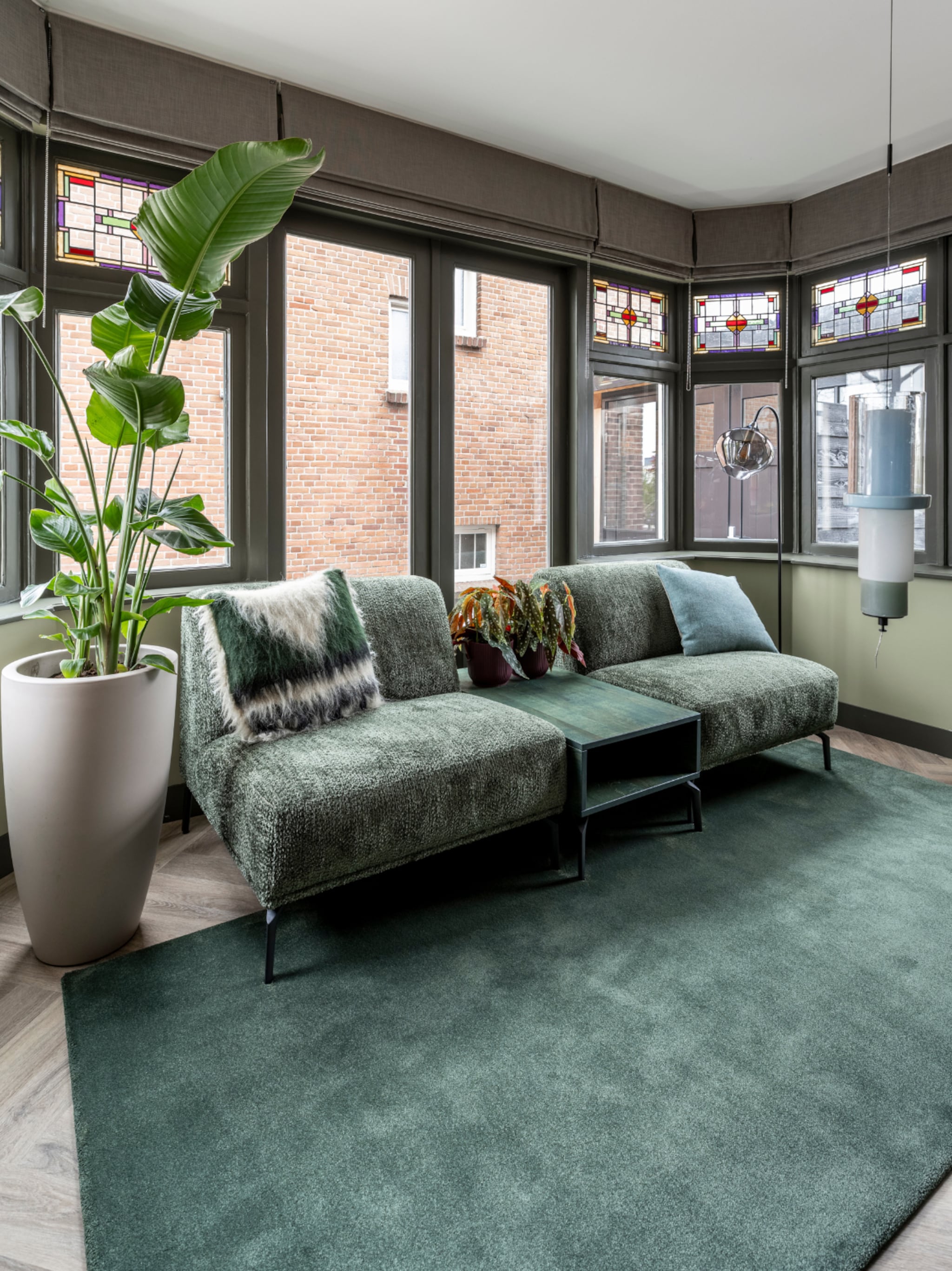 aflevering 8 frans naaldwijk terugblik