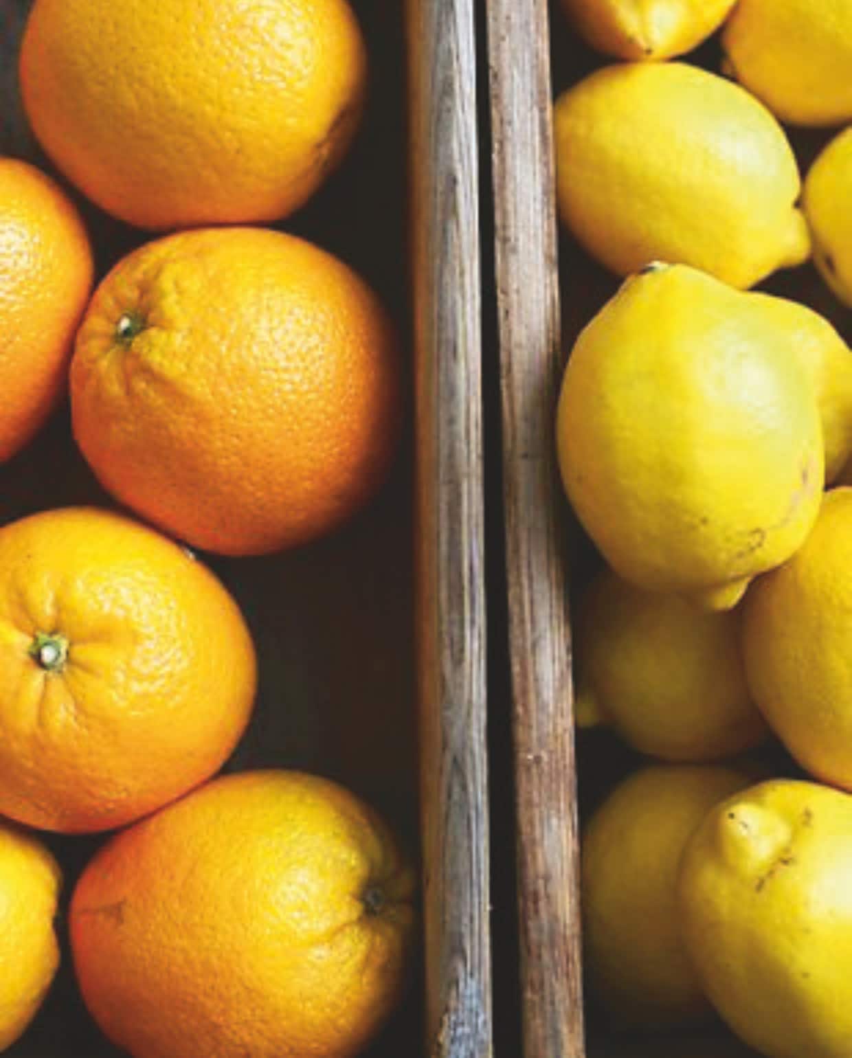 Sinaasappels en citroenen vtwonen Landelijk 11-2025 | fotografie Floor van Dinteren