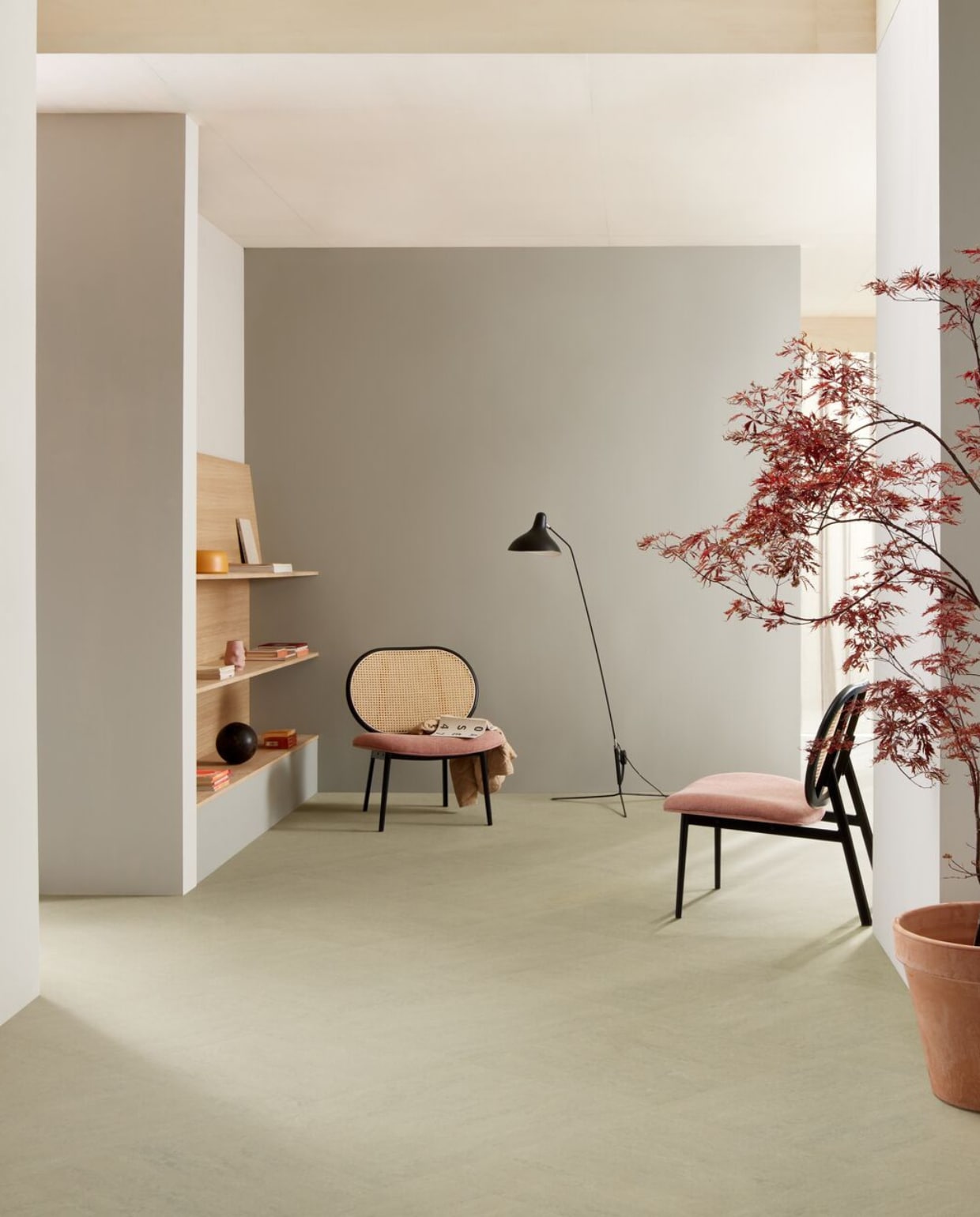 T3860 (silver shadow) T3860 (silver shadow)