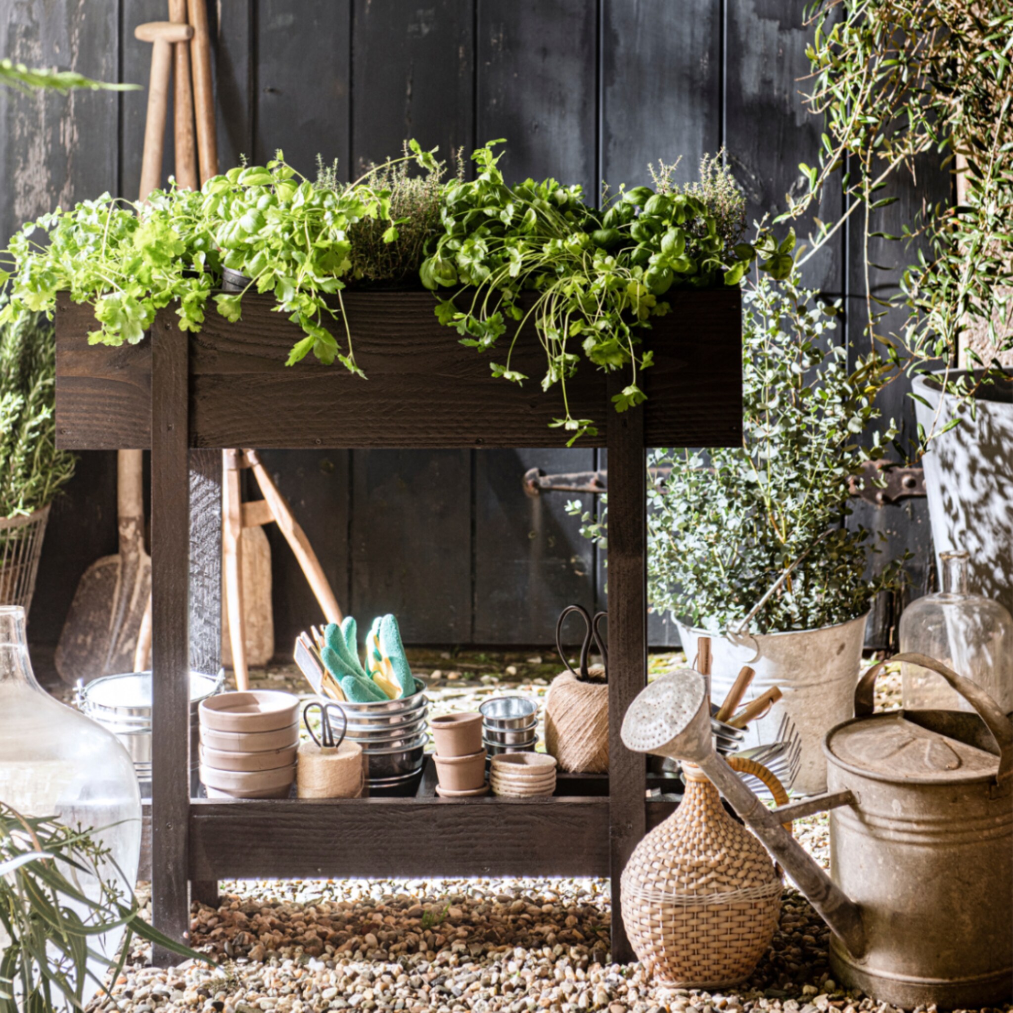 linkinbio-tuin-20251125-winterharde-wintergroene-planten