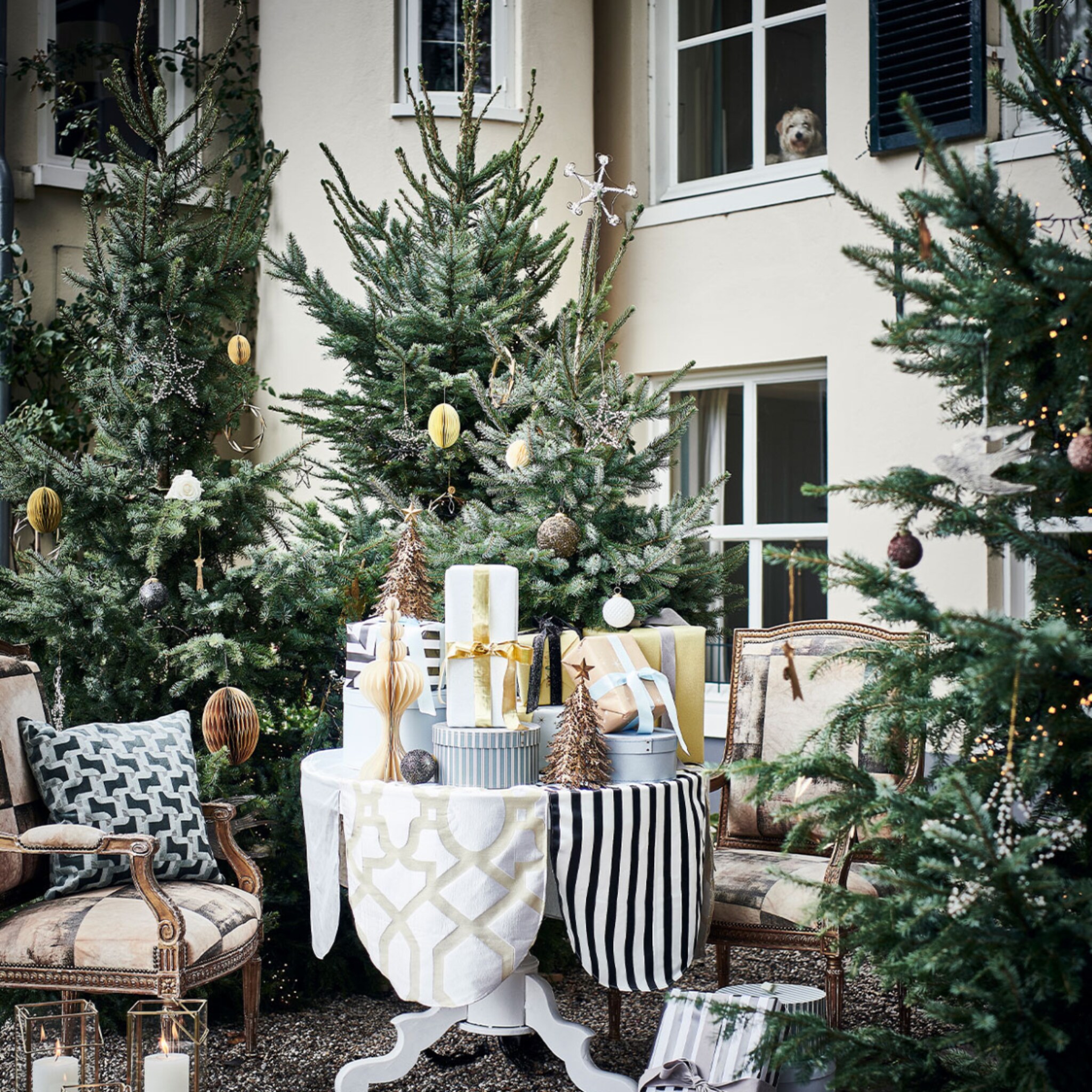 linkinbio-tuin-20251202-kerstversiering-tuin