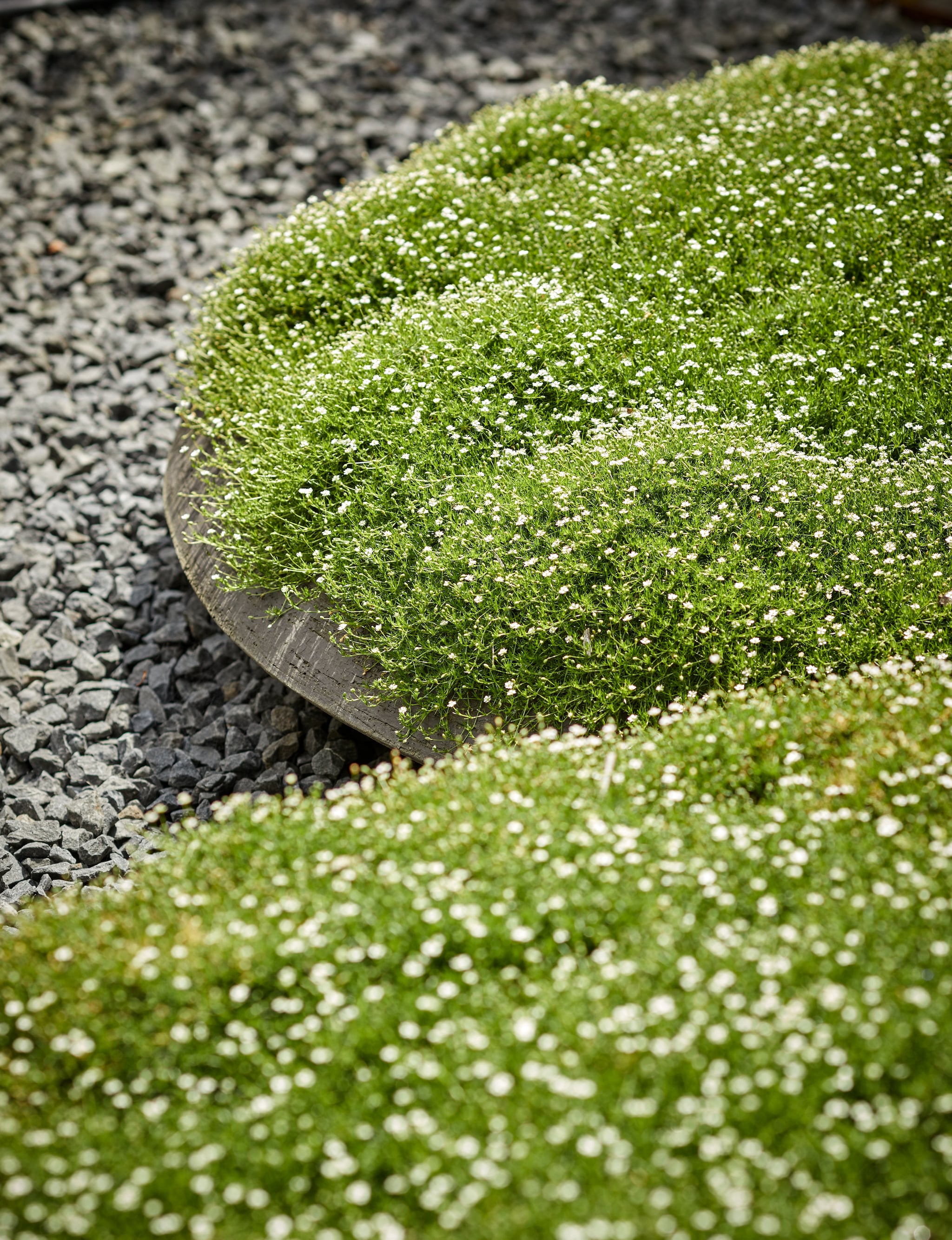 vtwonen Landelijk 03-2026 | fotografie Peter Fehrentz | productie Living Inside