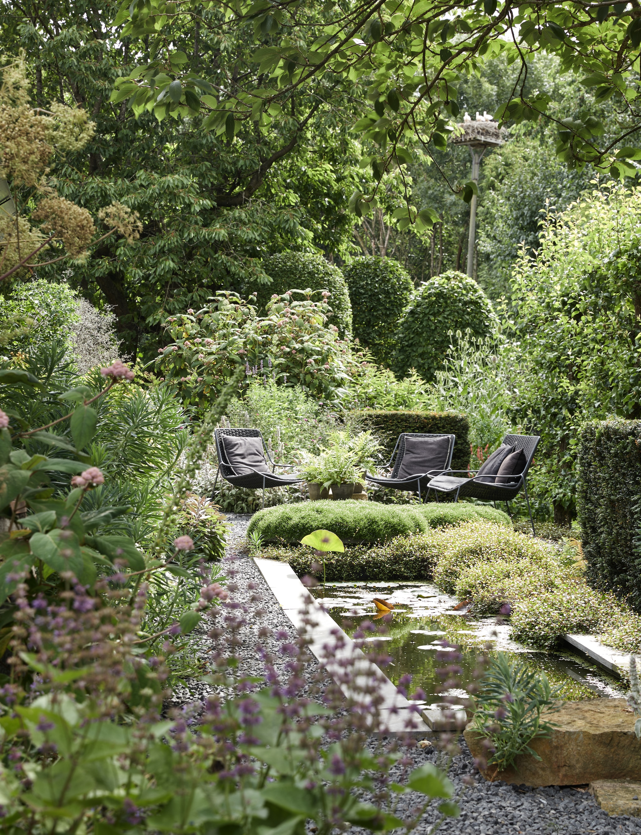 Stoelen Max en Luuk. Planten: draadstruik (Muehlenbeckia Axillars), fluweelhortensia (Hydrangea Sargentiana), struikwolfsmelk (Euphorbia Characias).