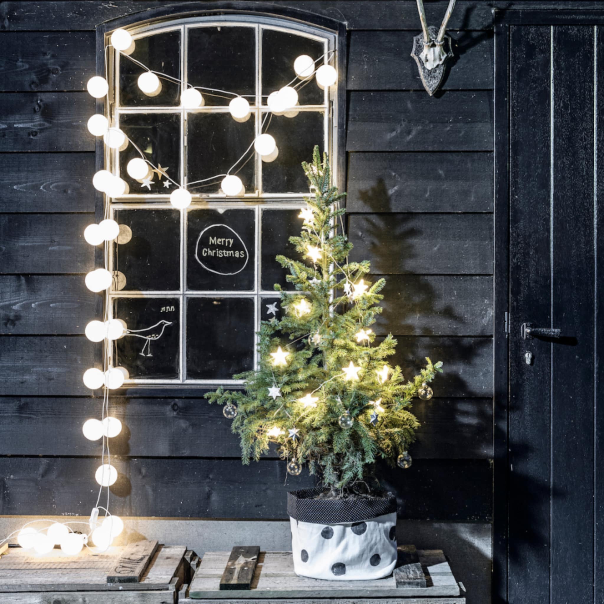 linkinbio-tuin-20251209-kerstverlichting-buiten-tips