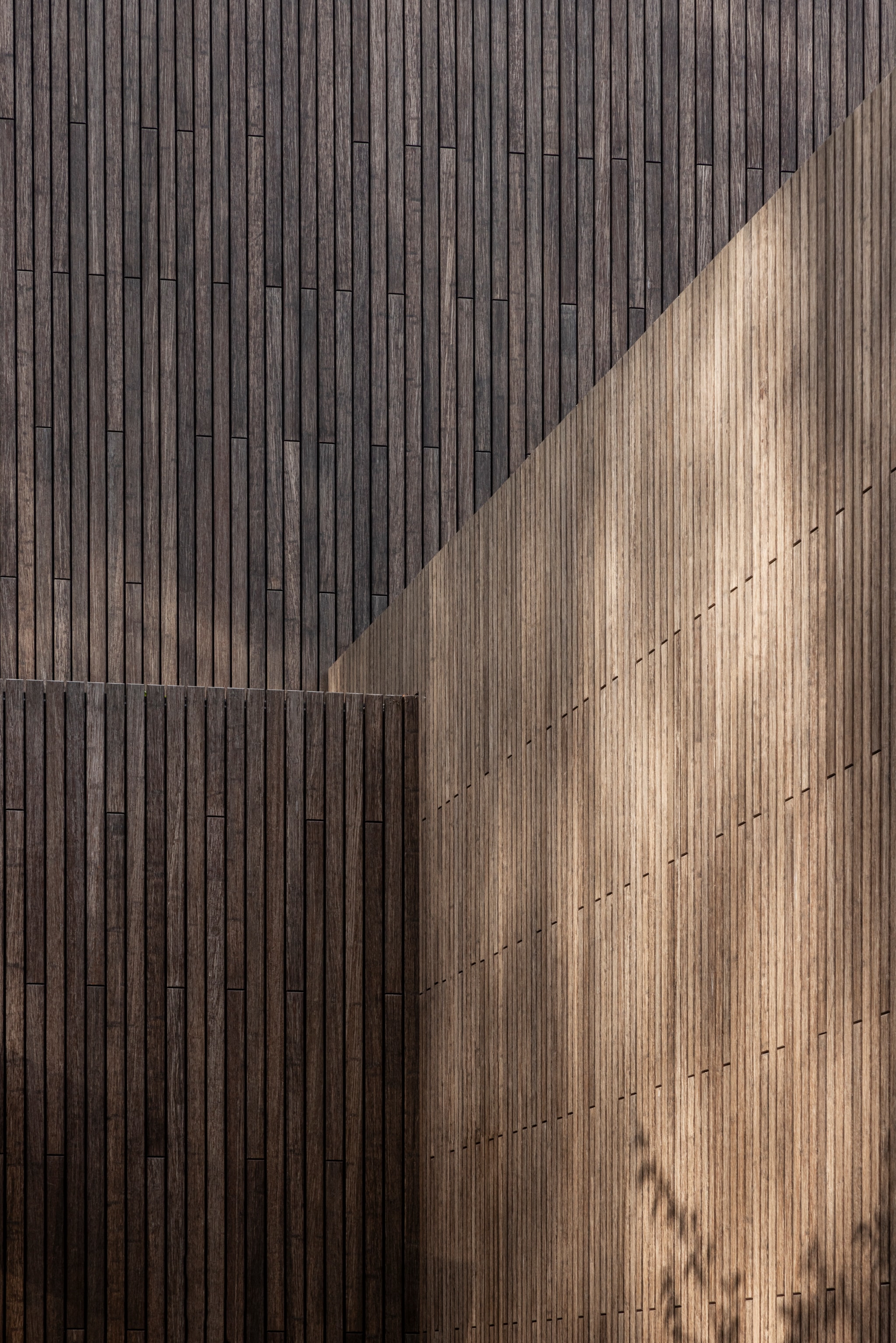 De buitengevel is bekleed met latten van onbehandeld bamboe, die met de jaren zullen vergrijzen en dan nog meer opgaan in de omgeving. vtwonen Design 02-2026 | fotografie Tim Van de Velde