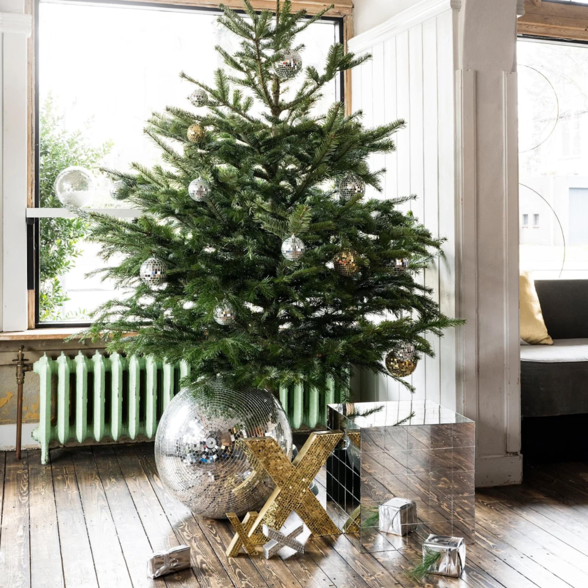 linkinbio-tuin-20251216-naalduitval-voorkomen