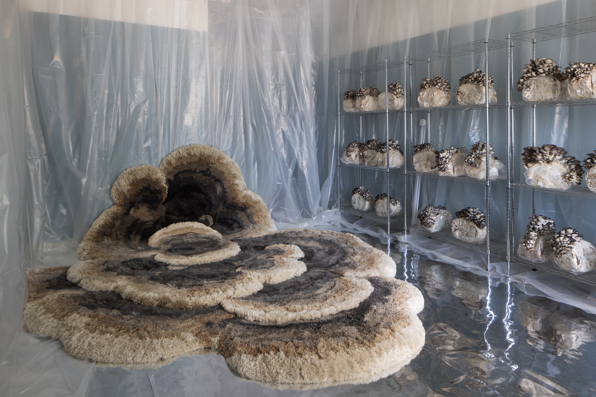 Studio Mary Lennox’ vloerkledencollectie M‑SHWY voor Jov vtwonen Design 02-2026 | Jov x Studio Mary Lennox’ | fotografie Eric Petschek, CityBoy