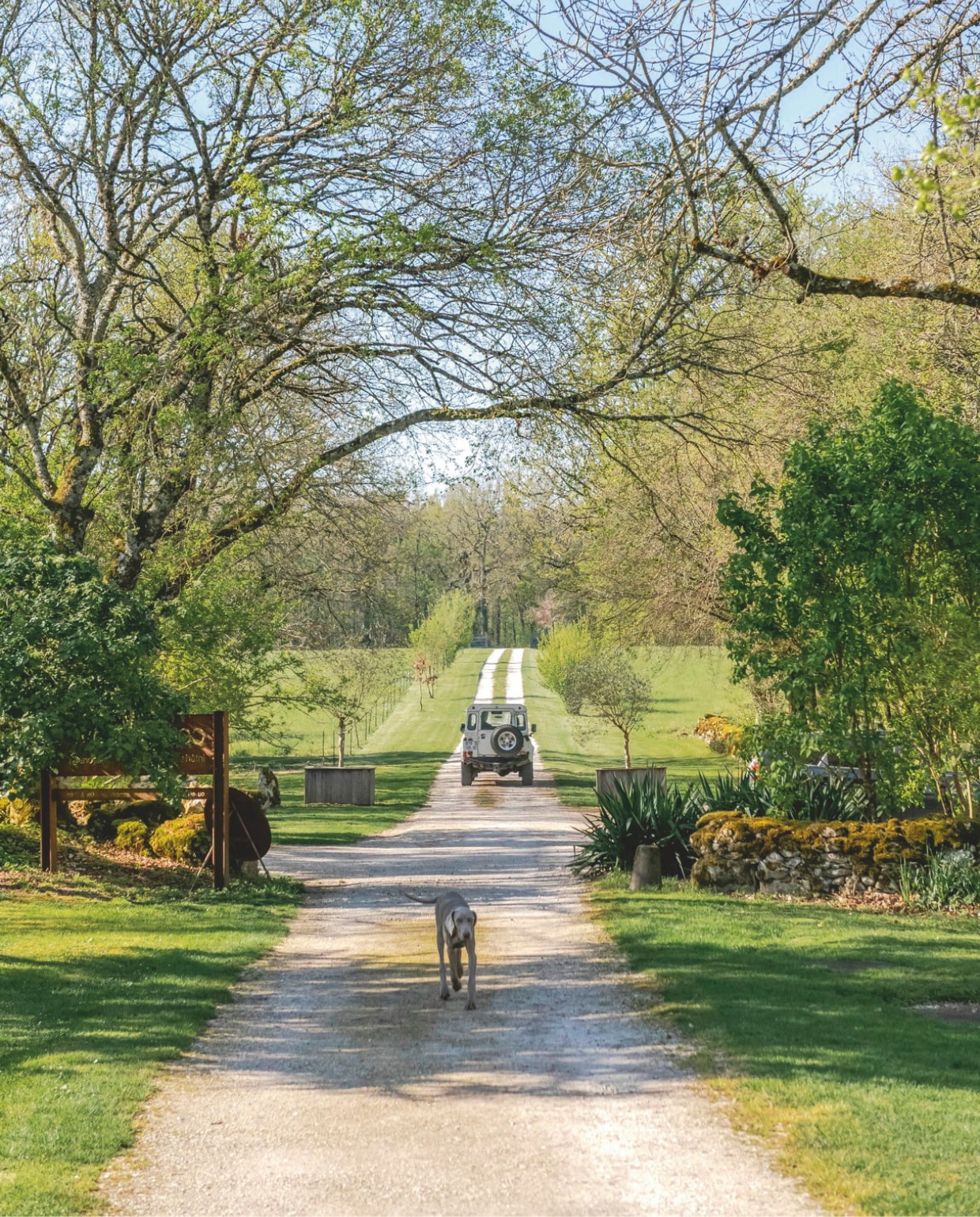 Dwars door de natuur rijd je over de oprit van het chateau. vtwonen Landelijk 12-2025 | styling Amandine Berthon | fotografie Julien Fernandez