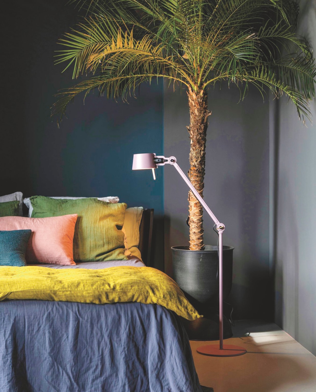 Sfeerbeeld column Durf met Theo-Bert. Producten zijn privébezit van Theo-Bert. vtwonen 01-2026 | fotografie & styling Theo-Bert Pot