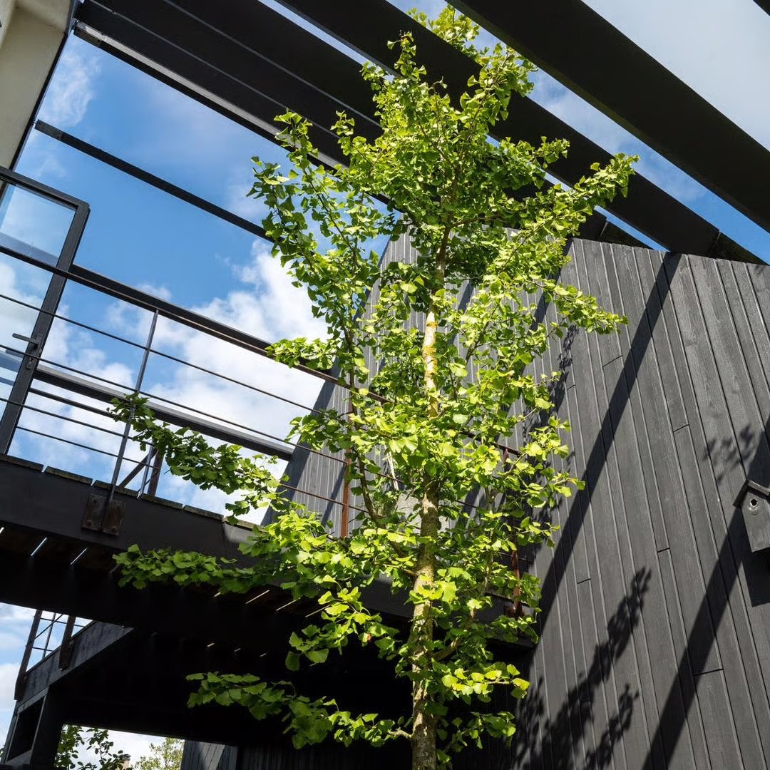 Funda - Croon makelaars