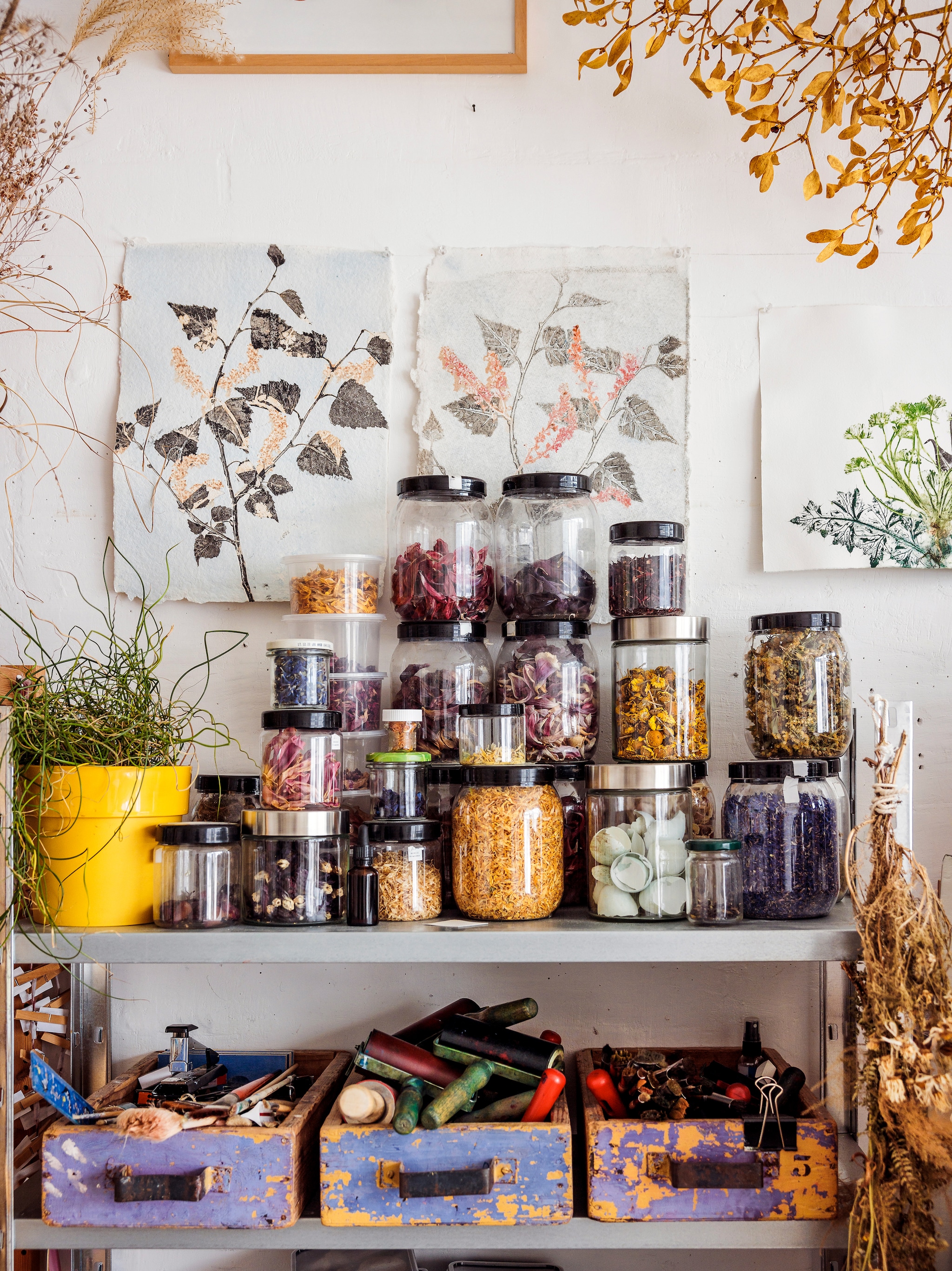 vtwonen Landelijk 02-2026 | fotografie Ernie Enkelaar vtwonen Landelijk 02-2026 | fotografie Ernie Enkelaar