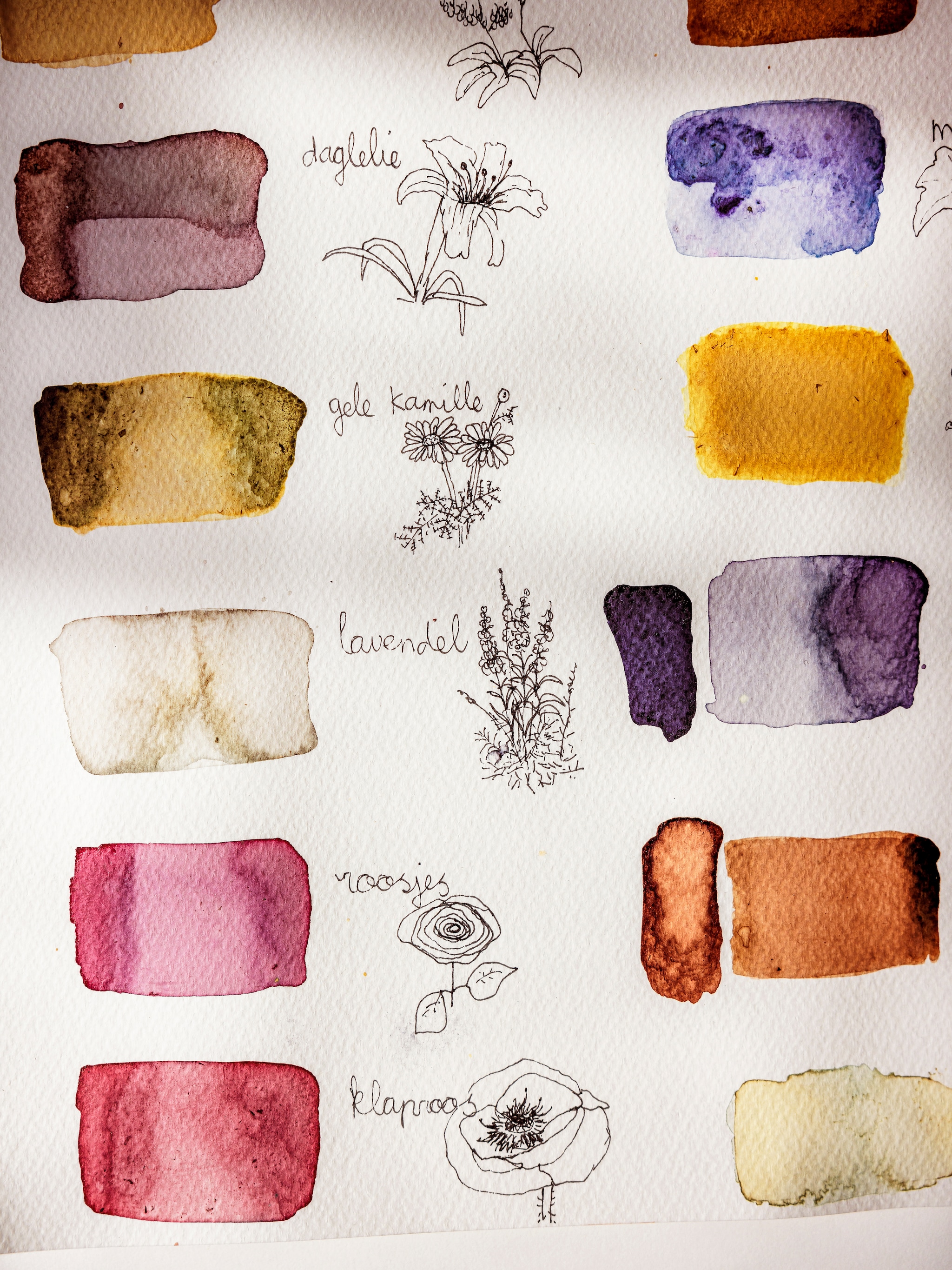 ambacht in de kijker papierambacht