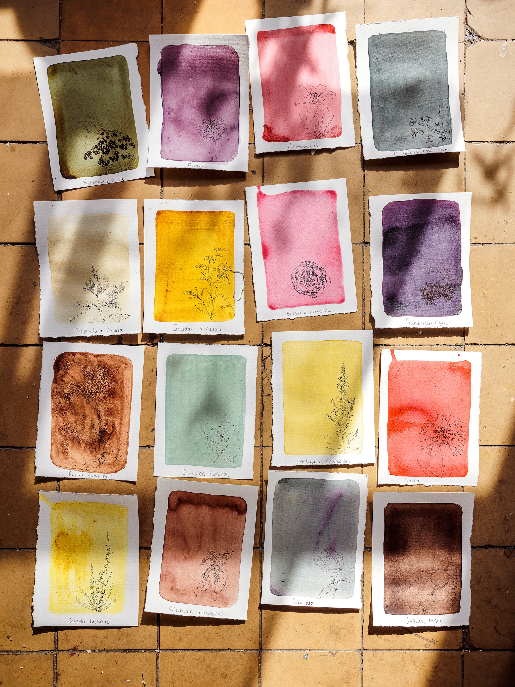 vtwonen Landelijk 02-2026 | fotografie Ernie Enkelaar vtwonen Landelijk 02-2026 | fotografie Ernie Enkelaar