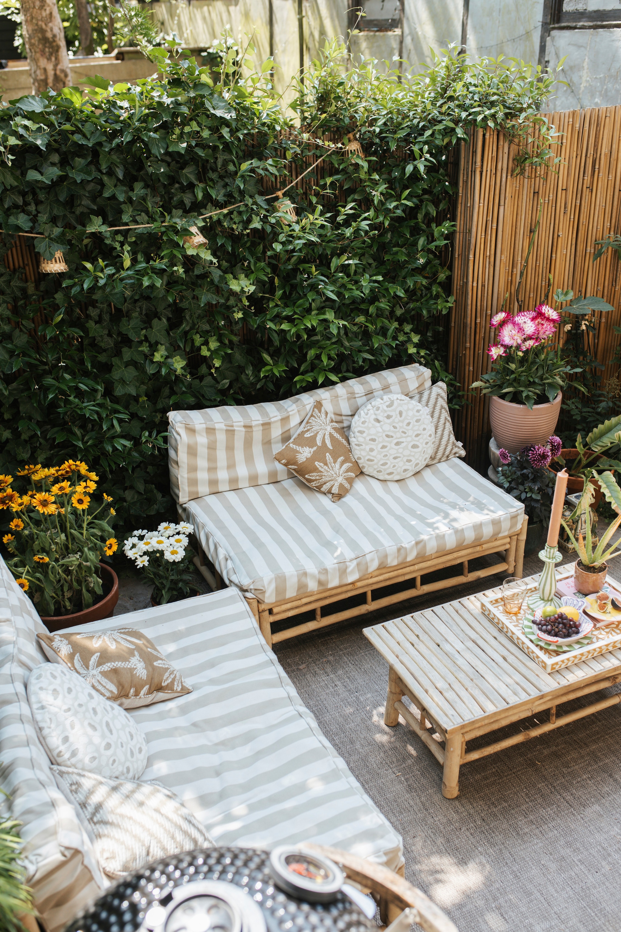 vtwonen special 01-2026 | fotografie Merel Visscher