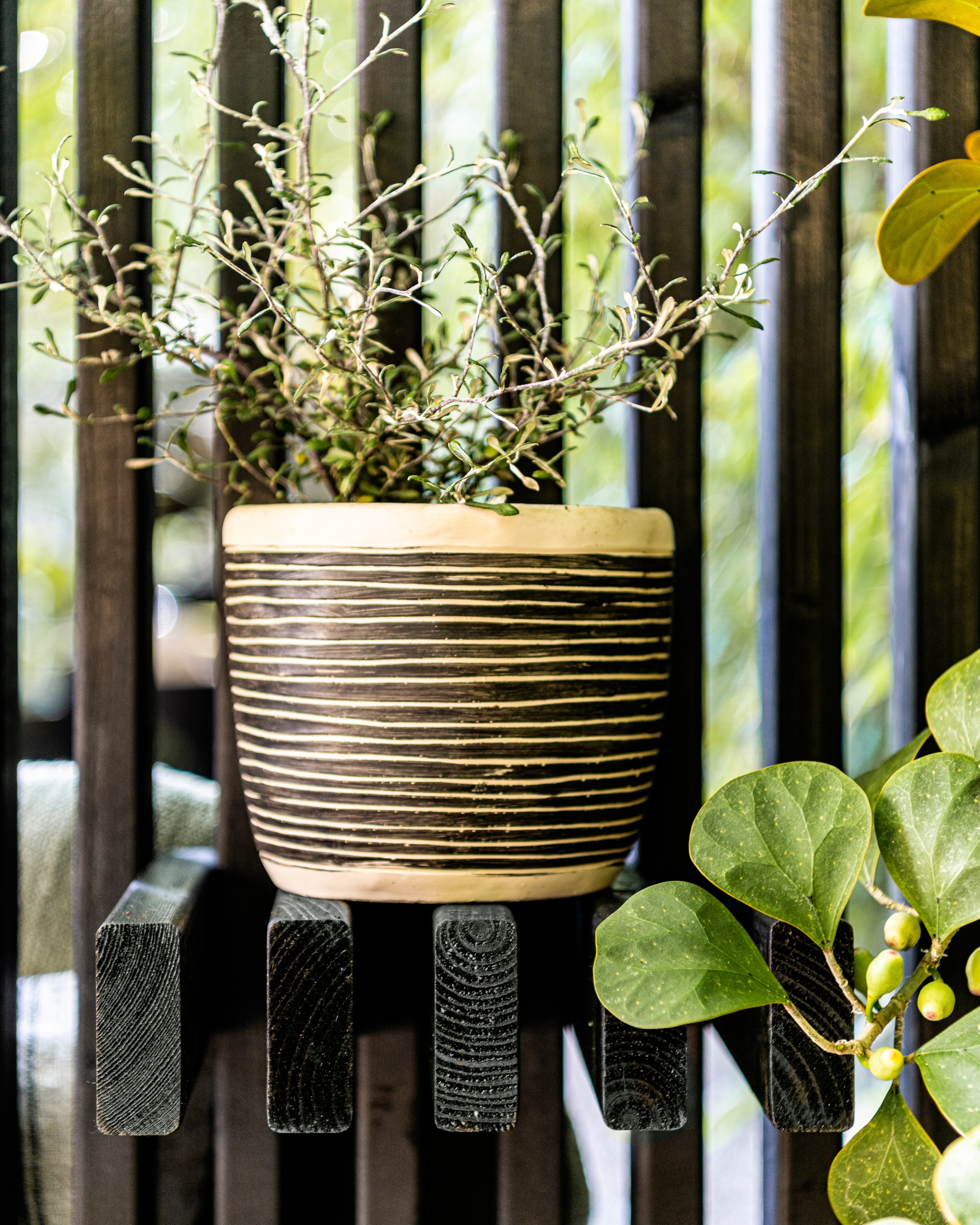 vtwonen special 01-2026 | fotografie Sjoerd Eickmans | styling Kim van Rossenberg