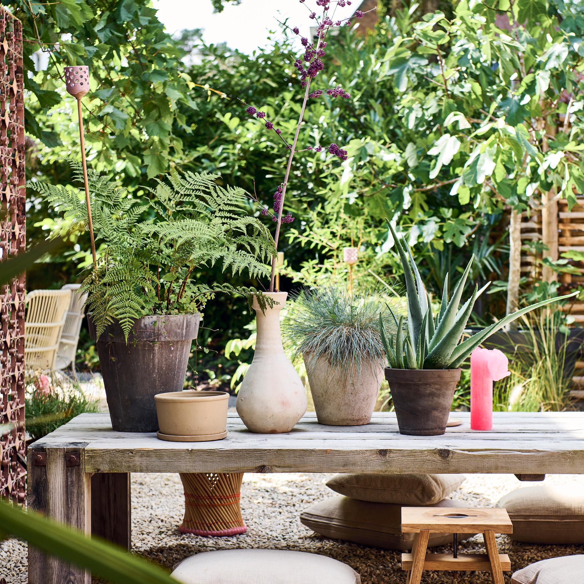 Homepage - tuin - alles over tuinieren