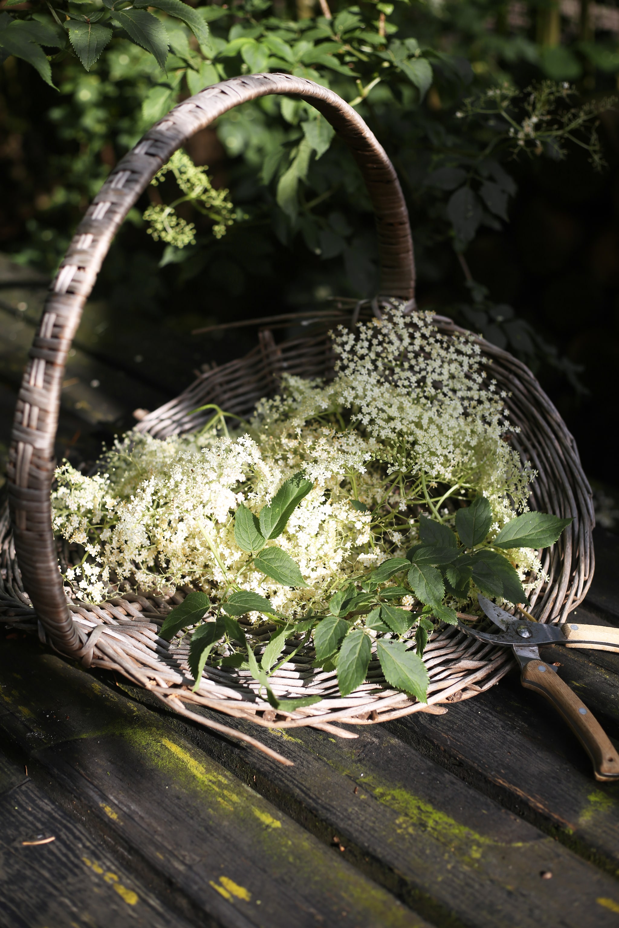 vtwonen Landelijk 04-2026 | fotografie Floor van Dinteren