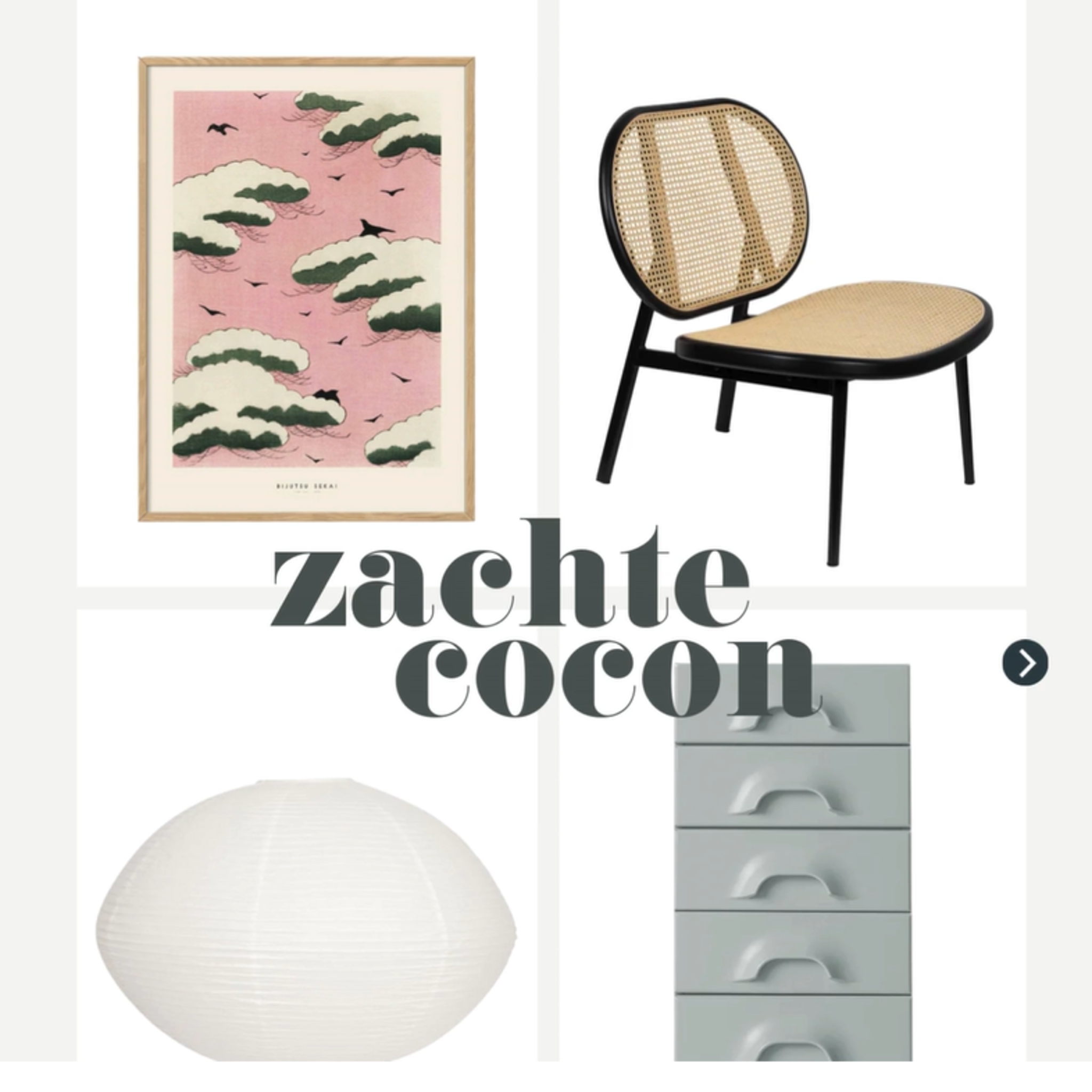 linkinbio-20260121-shop-vt1-Liselot