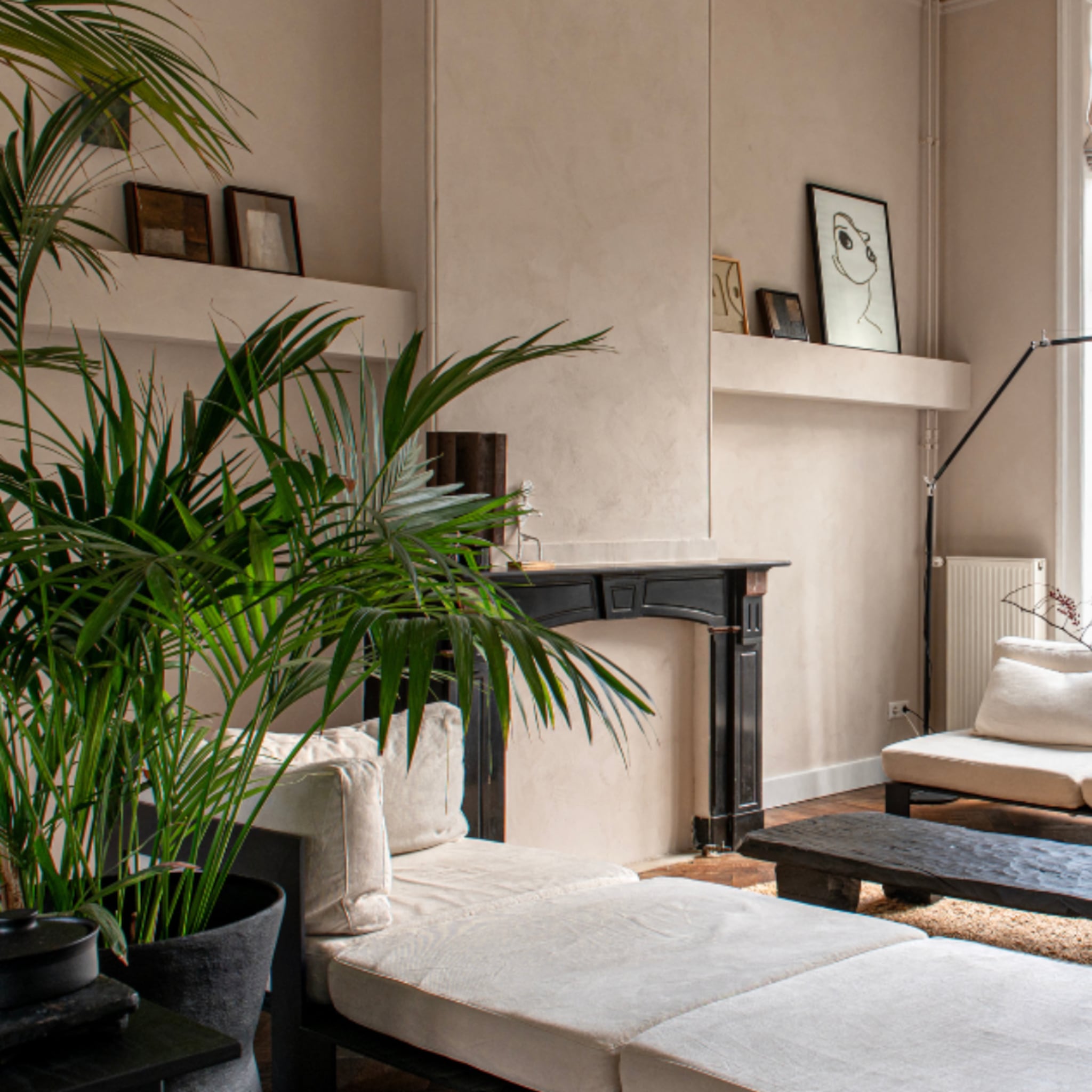 linkinbio-20260125-bundelartikel-shopable