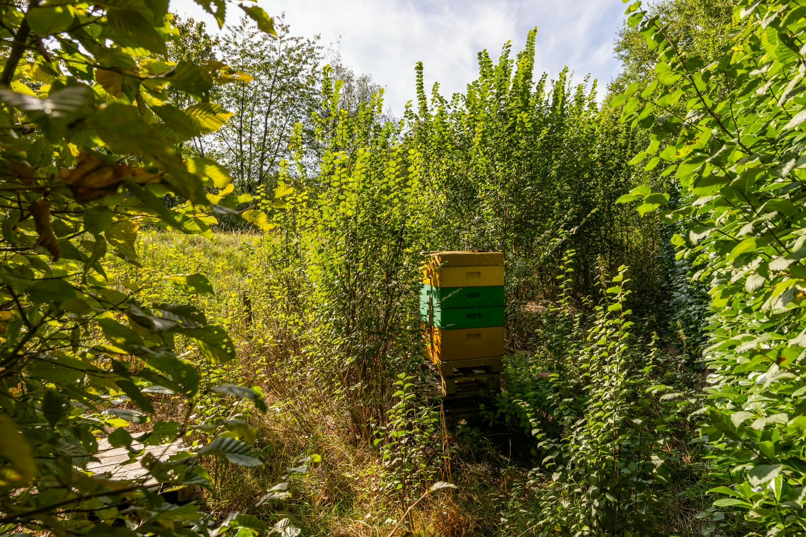 Funda - Drieklomp Makelaars en Rentmeesters Gorssel