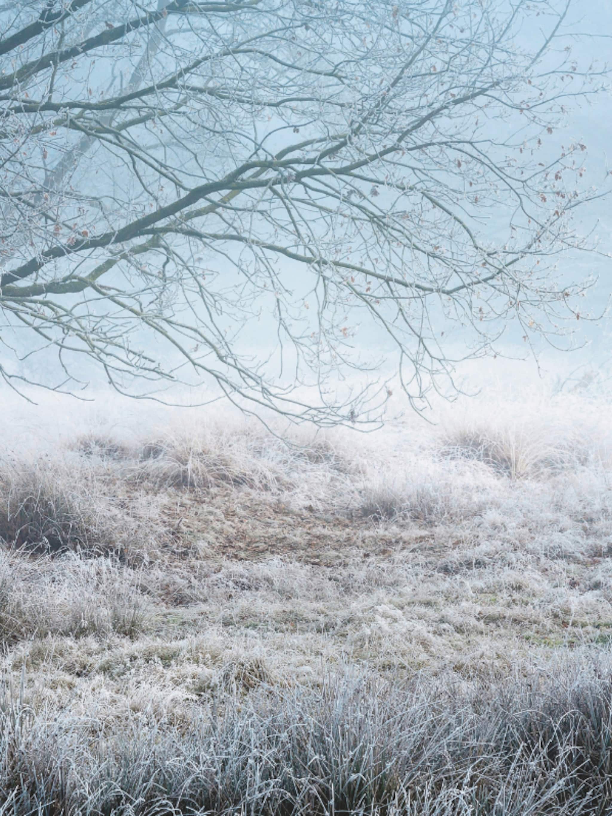favorieten in de natuur