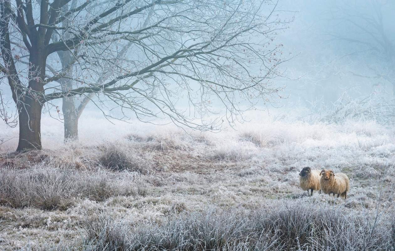 Fotografie Marcel Kerkhof vtwonen landelijk 01-2026 | fotografie Marcel Kerkhof