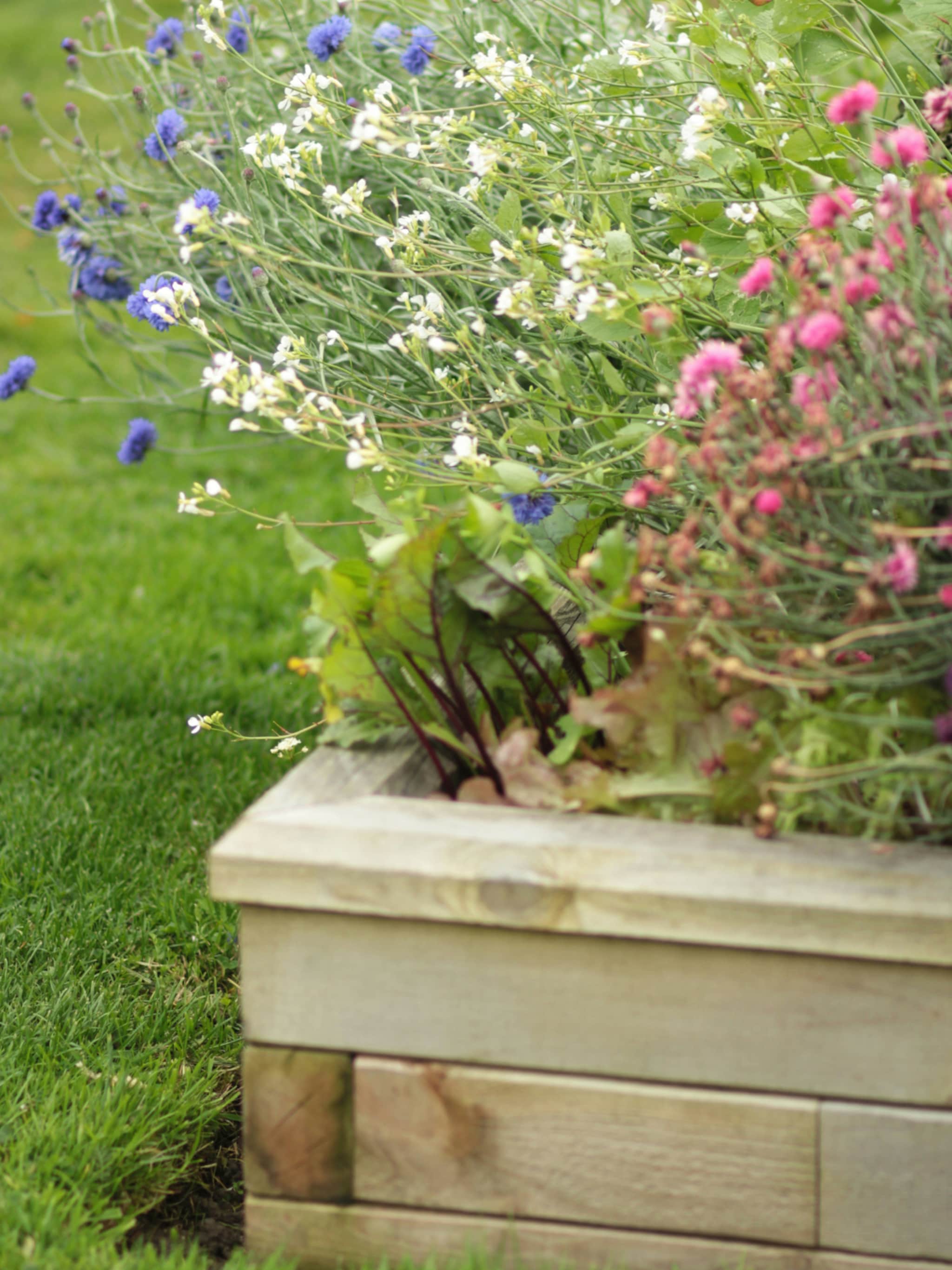 verhoogde borders in de tuin