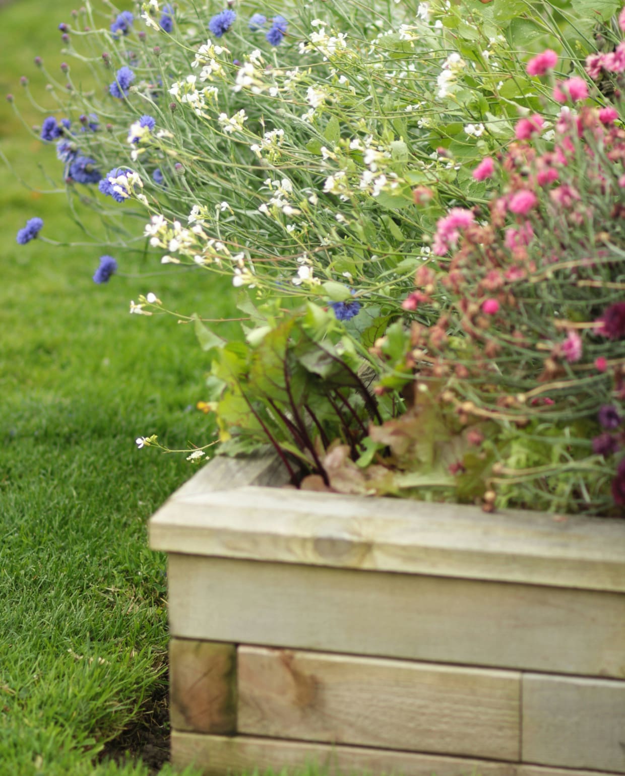 verhoogde borders in de tuin