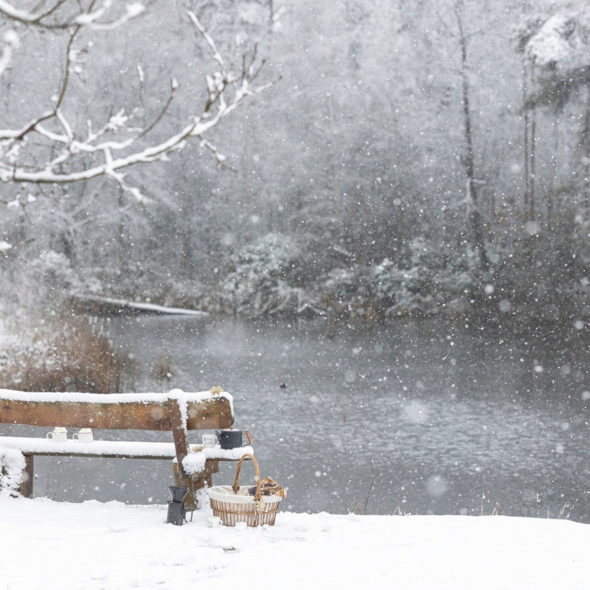 linkinbio-landelijk-20260212-favorieten-winterwandelingen