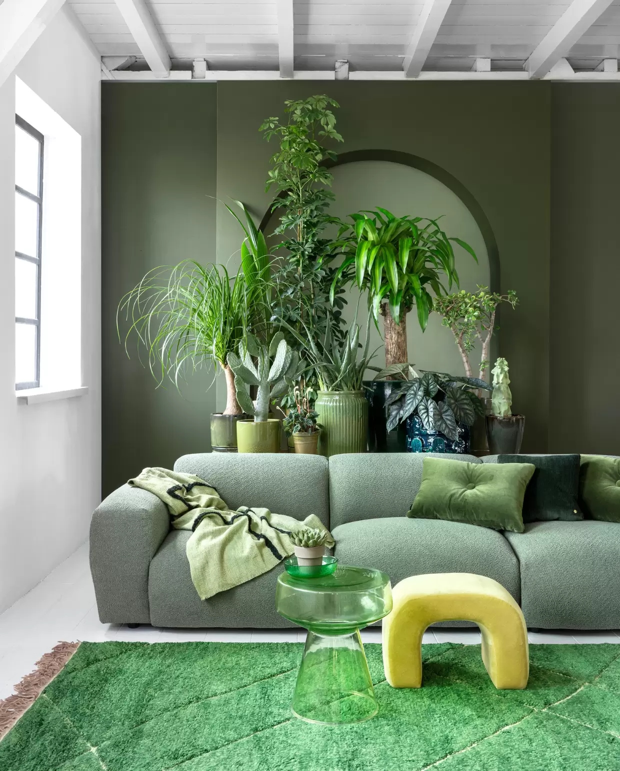 vtwonen 03 2023, groen | Plant en potten v.l.n.r.: plant Beaucarnea € 59,95, pot € 34,95, kokospalm € 14,95, pot € 24,95, cactus € 75,-, pot € 39,95, plant Peperomia € 6,95 , pot € 9,95, plant Schefflera € 100,-, pot € 39,95, plant Aloë Vera € 59,95, pot € 39,95, plant Dracena € 150,- (bydennis.nl), pot € 201,- (loods5.nl), plant Alocasia € 50,- (bydennis.nl), pot € 159,- (loods5.nl), plant Crassula € 75,-, pot € 34,95, cactusplant € 69,95, pot € 39,95 (bydennis.nl). Op bijzettafel: plant € 6,95, pot € 5,95 (bydennis.nl). Donkergroene muurverf nr.76, lichtgroene muurverf in de boog nr. 41 van Lab Paint, per liter € 48,- (vestingh.nl). Bank Cosy, 295x97x70 cm (bxdxh) € 3238,-, ribfluwelen kussen € 79,- (loods5.nl). Vloerkleed van HKliving, 280x180 cm € 1295,-, glazen bijzettafel van HKliving € 229,-, plaid van HKliving € 74,95, glazen kom van HKliving € 5,99, velours kussen van Hay € 95,- (vtwonen.nl). Gele fluwelen kruk € 249,- (urbannatureculture.com).
 vtwonen 03 2023 | styling Marianne Luning | fotografie Stan Koolen